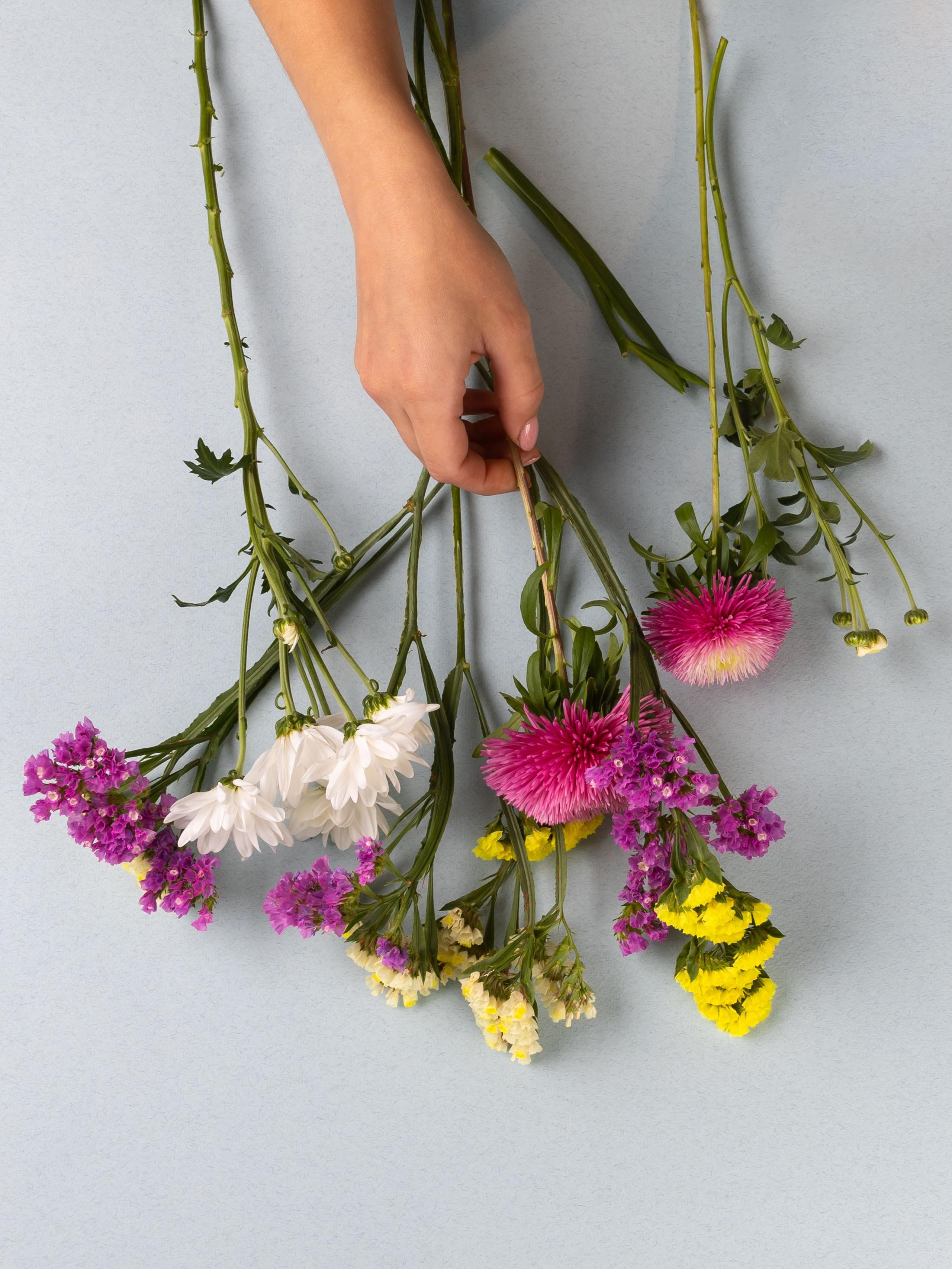 ЦВЕТЫ. ФОТОГРАФ ВИНОГРАДОВА ДАРЬЯ