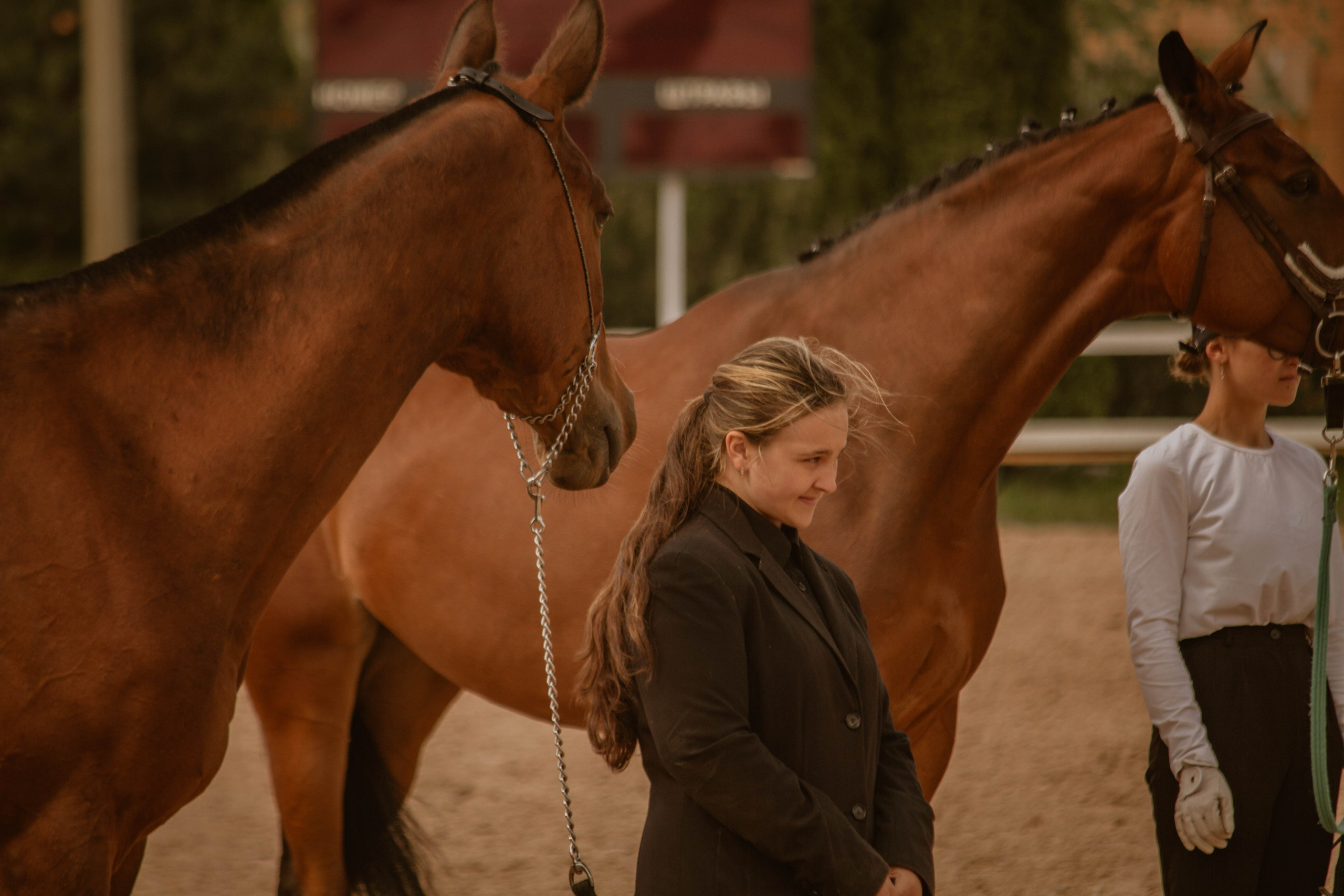 ИППОСФЕРА — Международная конная выставка. Создадим шедевр? Виталина и её фотоискусство