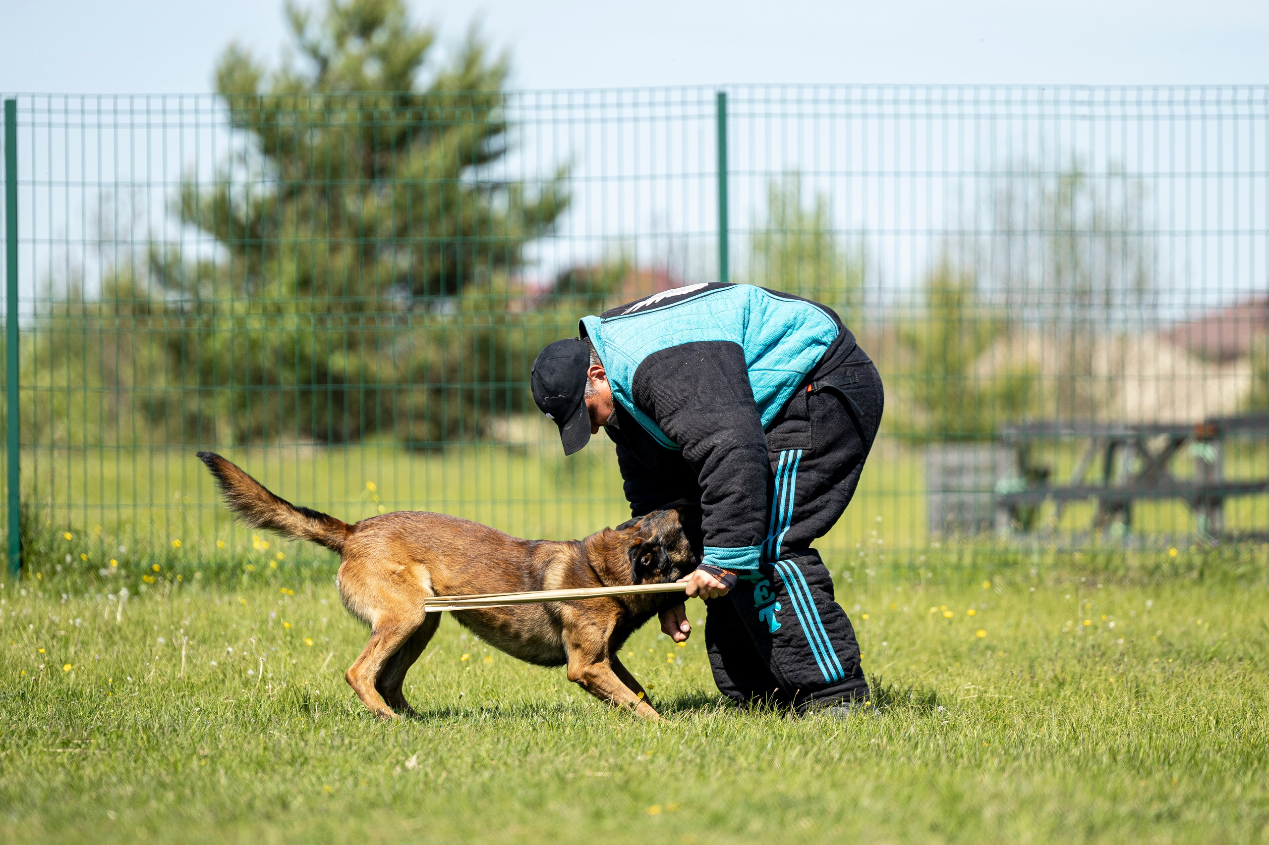 Испытания по мондьорингу в Нижнем Новгороде. Фотограф-анималист Анна Маринич