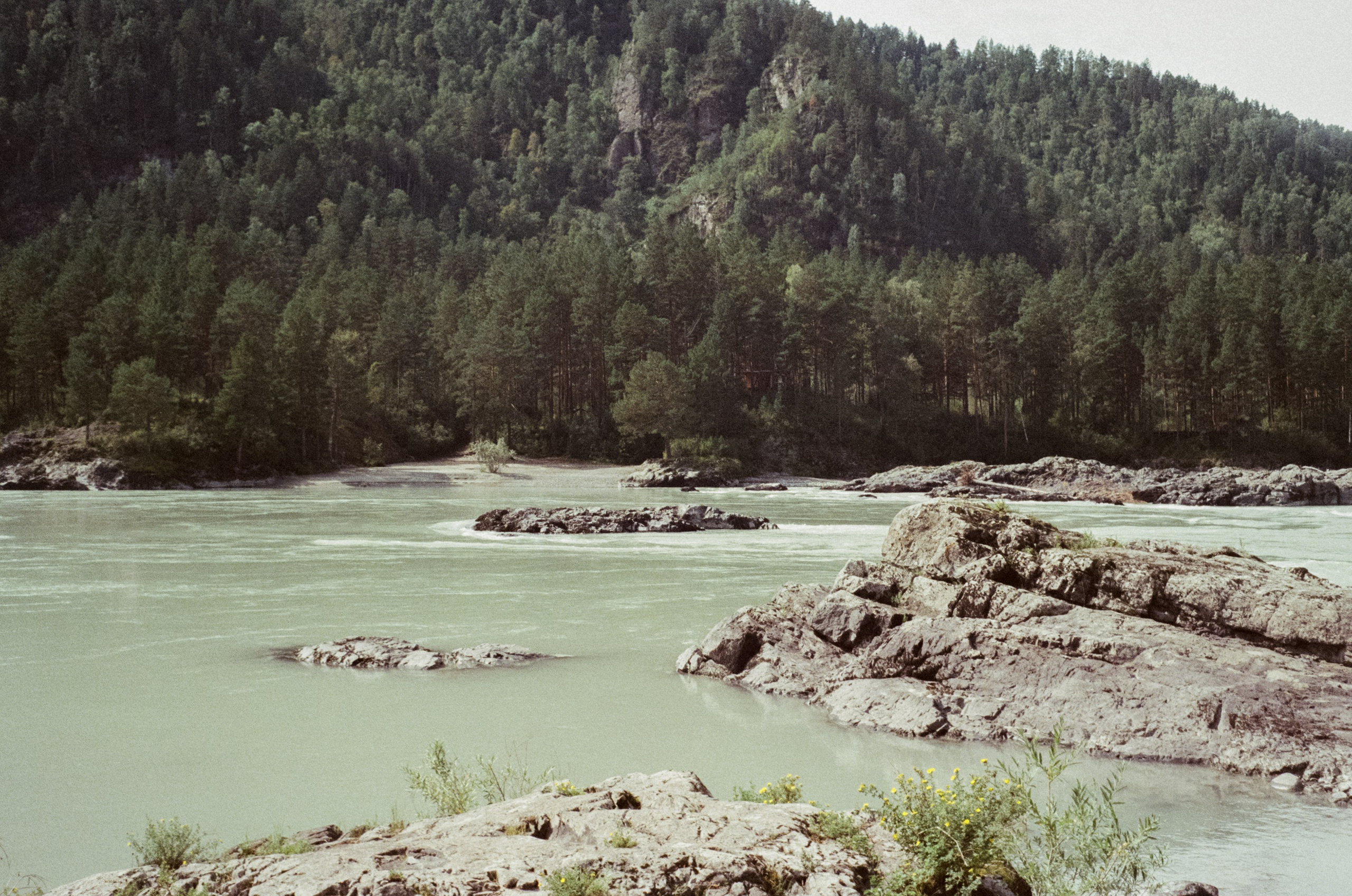 Алтай 08-09/2024