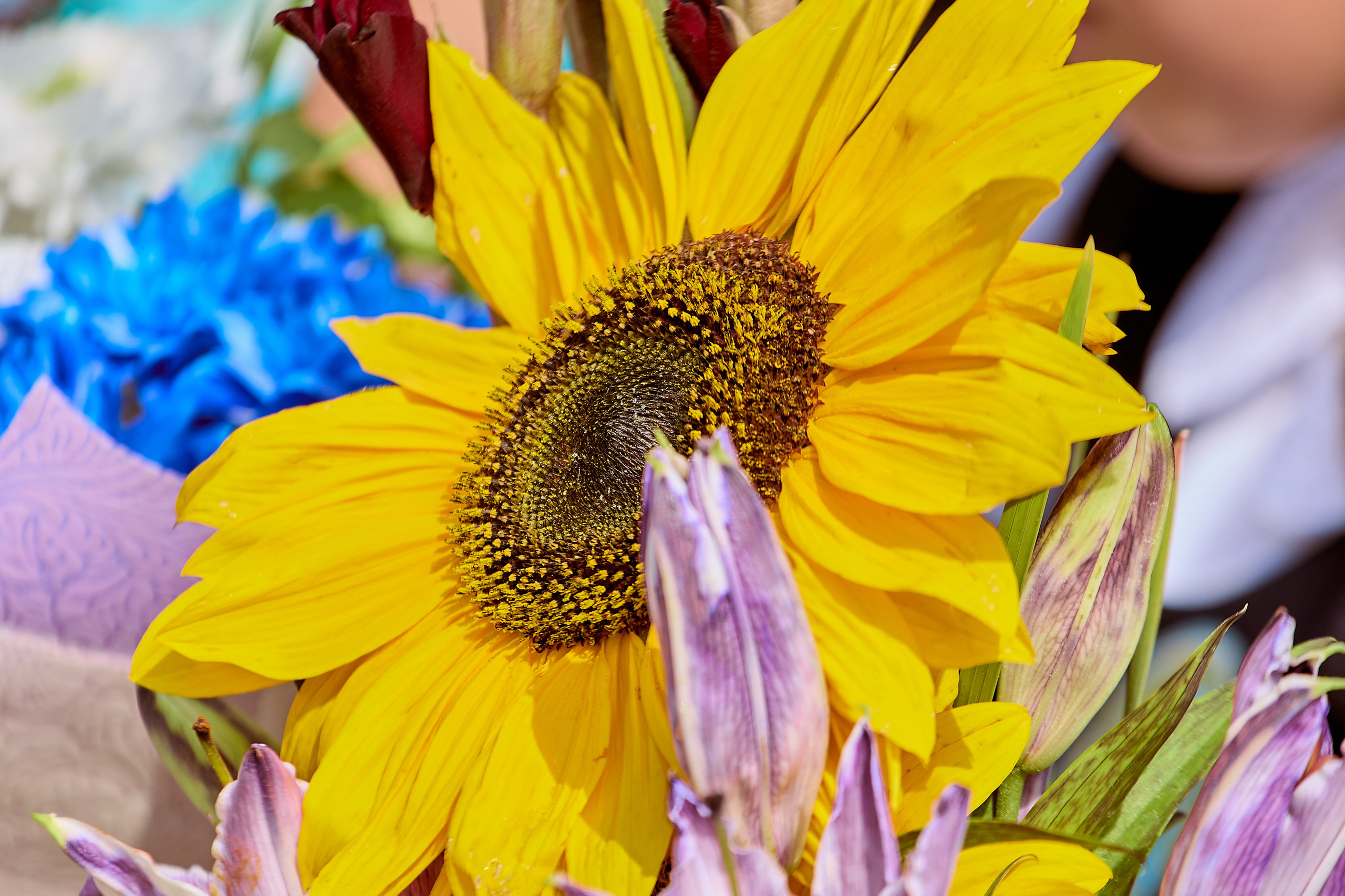 Фотографии День Знаний