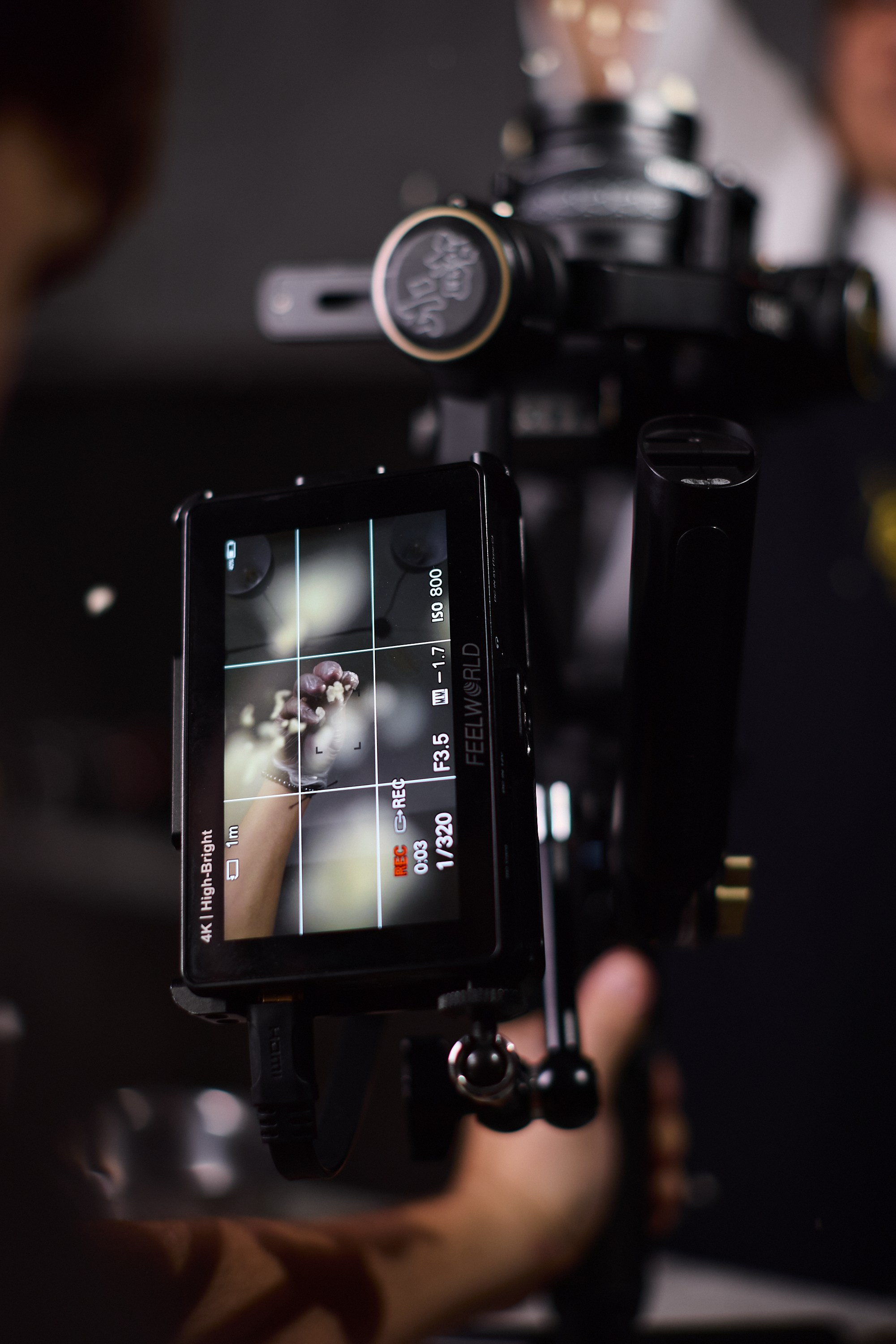 Бэкстейдж для BLUEFIN. Еремина Катерина