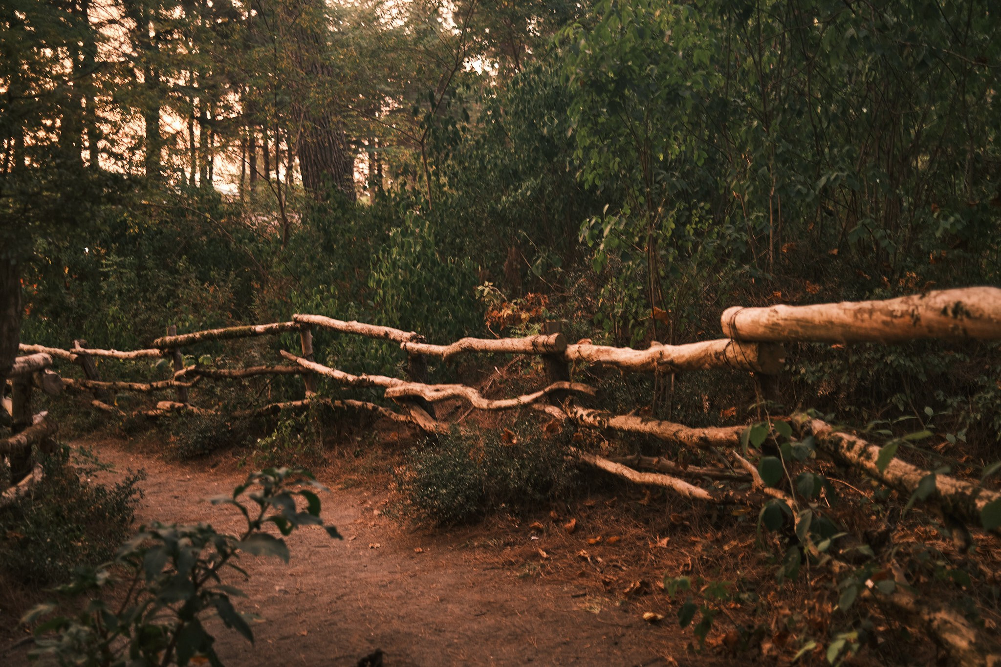 Фотограф Владимир Кононенко