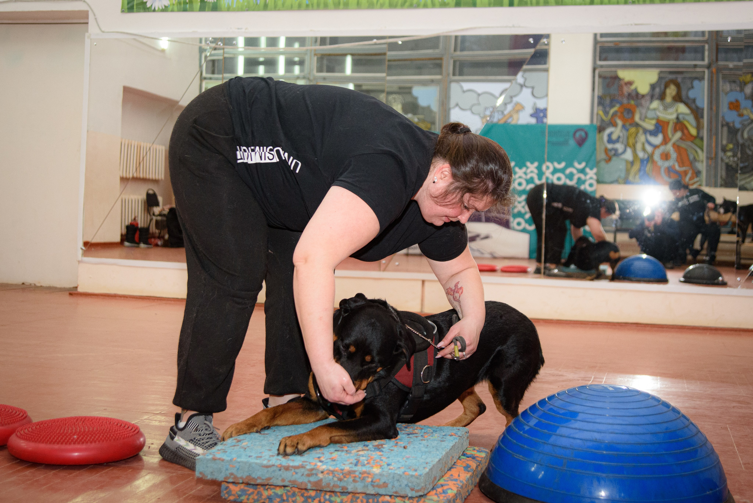 Фотосъёмка с собаками в Кинологическом лагере. Фотограф Макс Огурцов в Нижнем Новгороде
