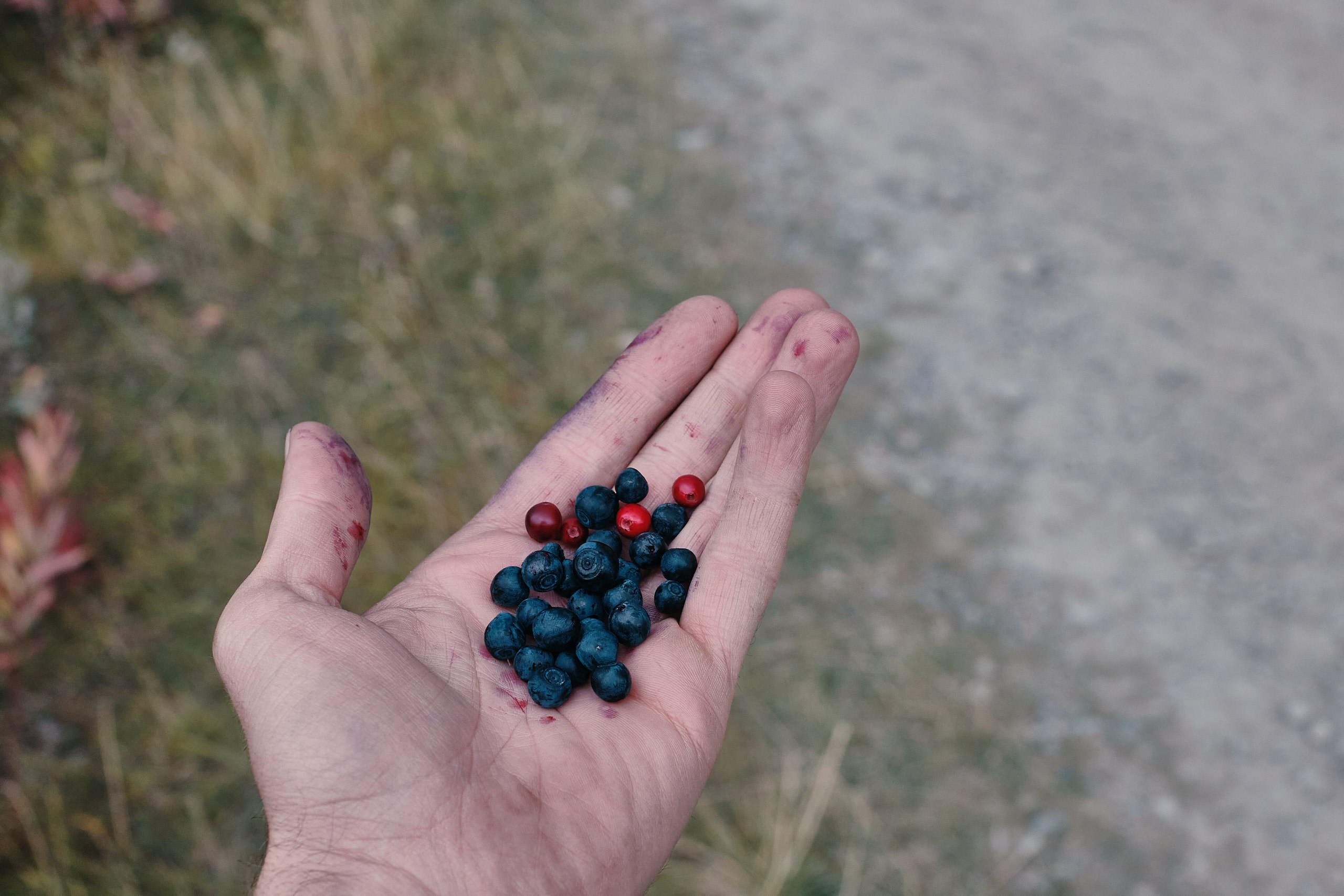 Рыбачий 2023. Место силы. Фотограф Валерий Сабрам