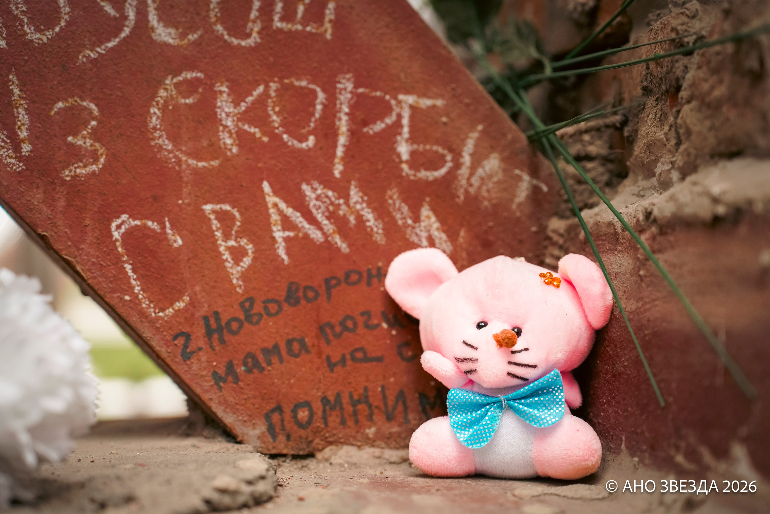 Федеральный проект «Сила в смысле» Кавказ. Репортажный фотограф: свадьбы, корпоративы, Пятигорск СКФО