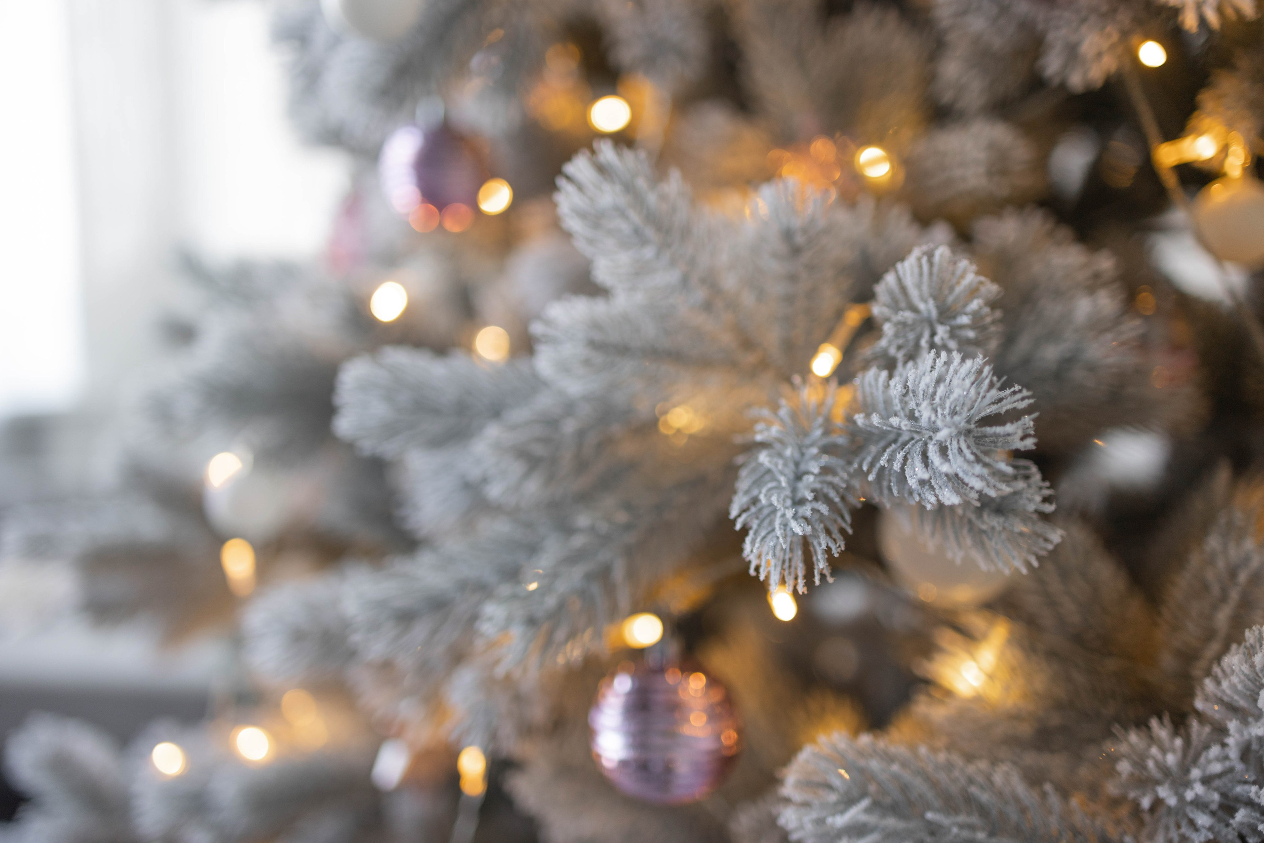 Новый год 2025-2026. Интерьерная фотостудия Background в Омске