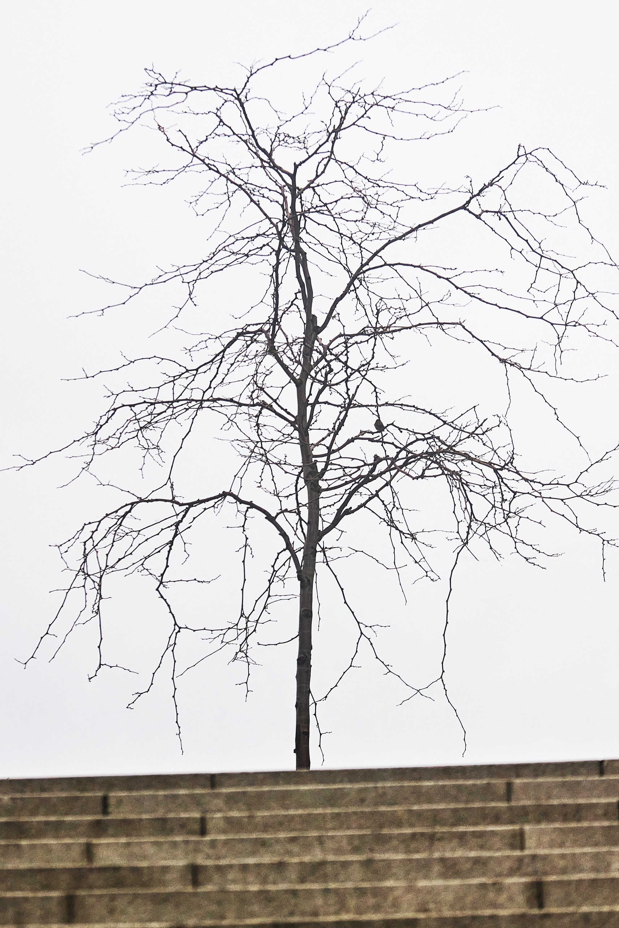 Текстуры и другие фоны. Textures and other. Яркие фото на Чёрном море