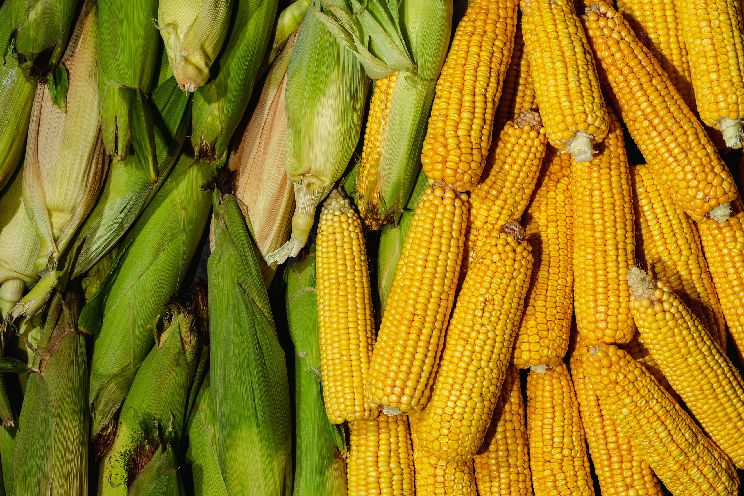 Коммерция. Портретный и событийный фотограф в Барнауле, Москве, Новосибирске