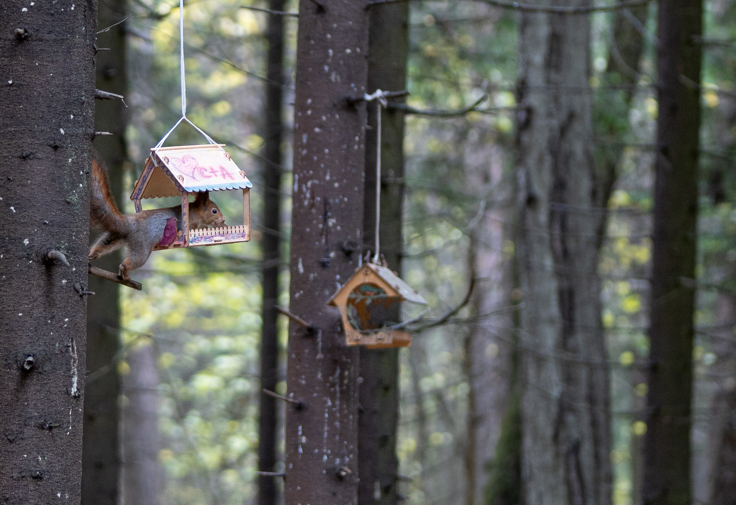 ПЕРЕДЕЛКИНО. ПОБУДЬ ЗДЕСЬ И ЦЕЛЕЕ БУДЕТ ЭТОТ МИР