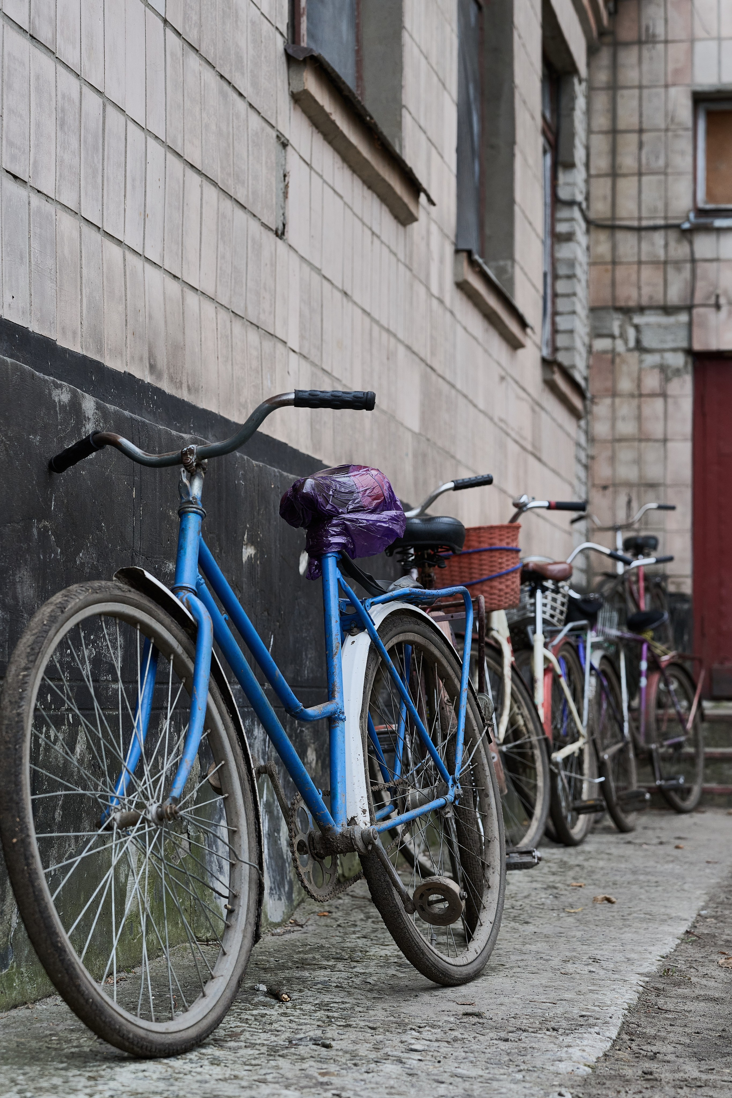 Краснореченское. Луганская область. Фотопроект «Территории»