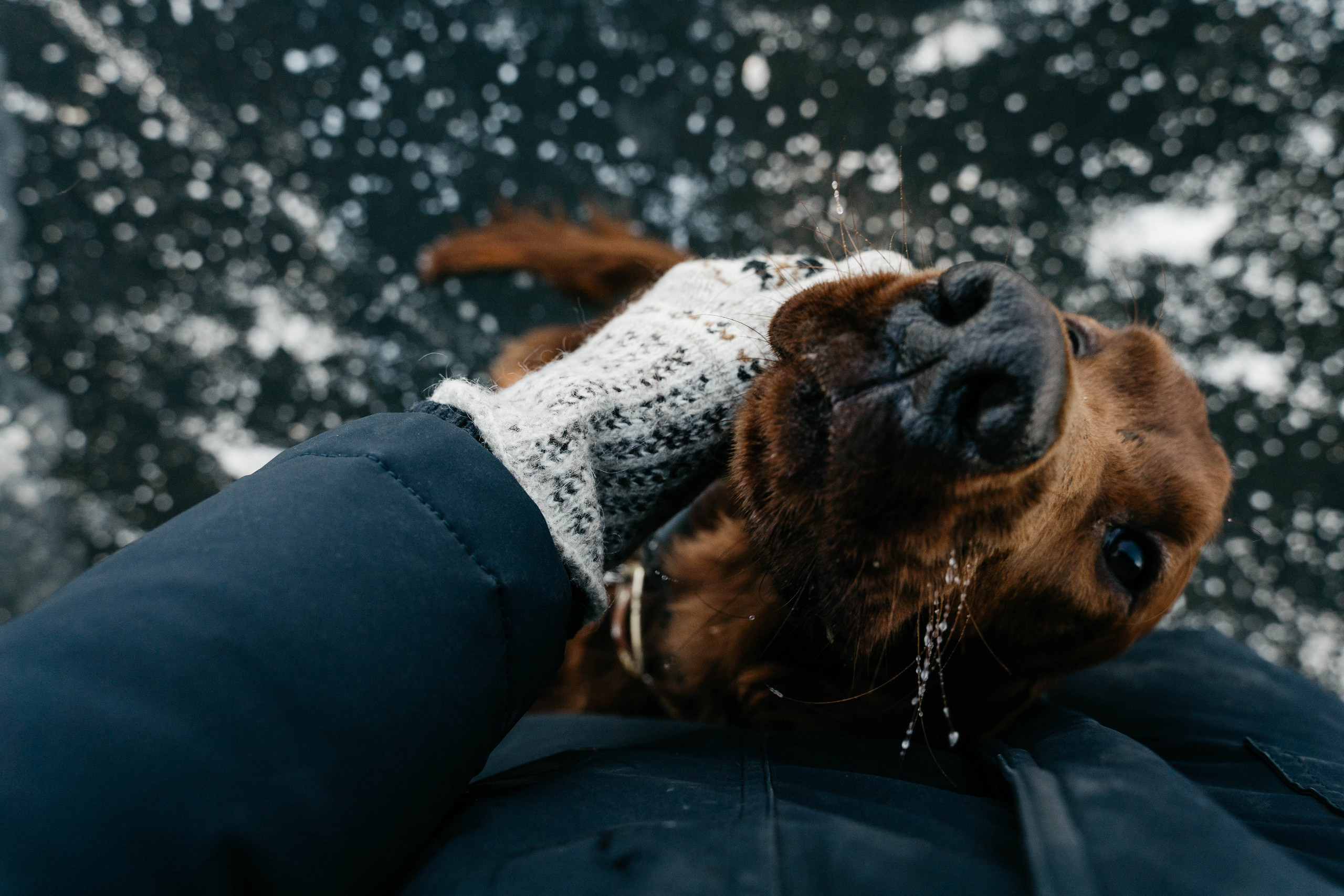 Здесь и сейчас. Семейный фотограф в Москве Полина Курданина