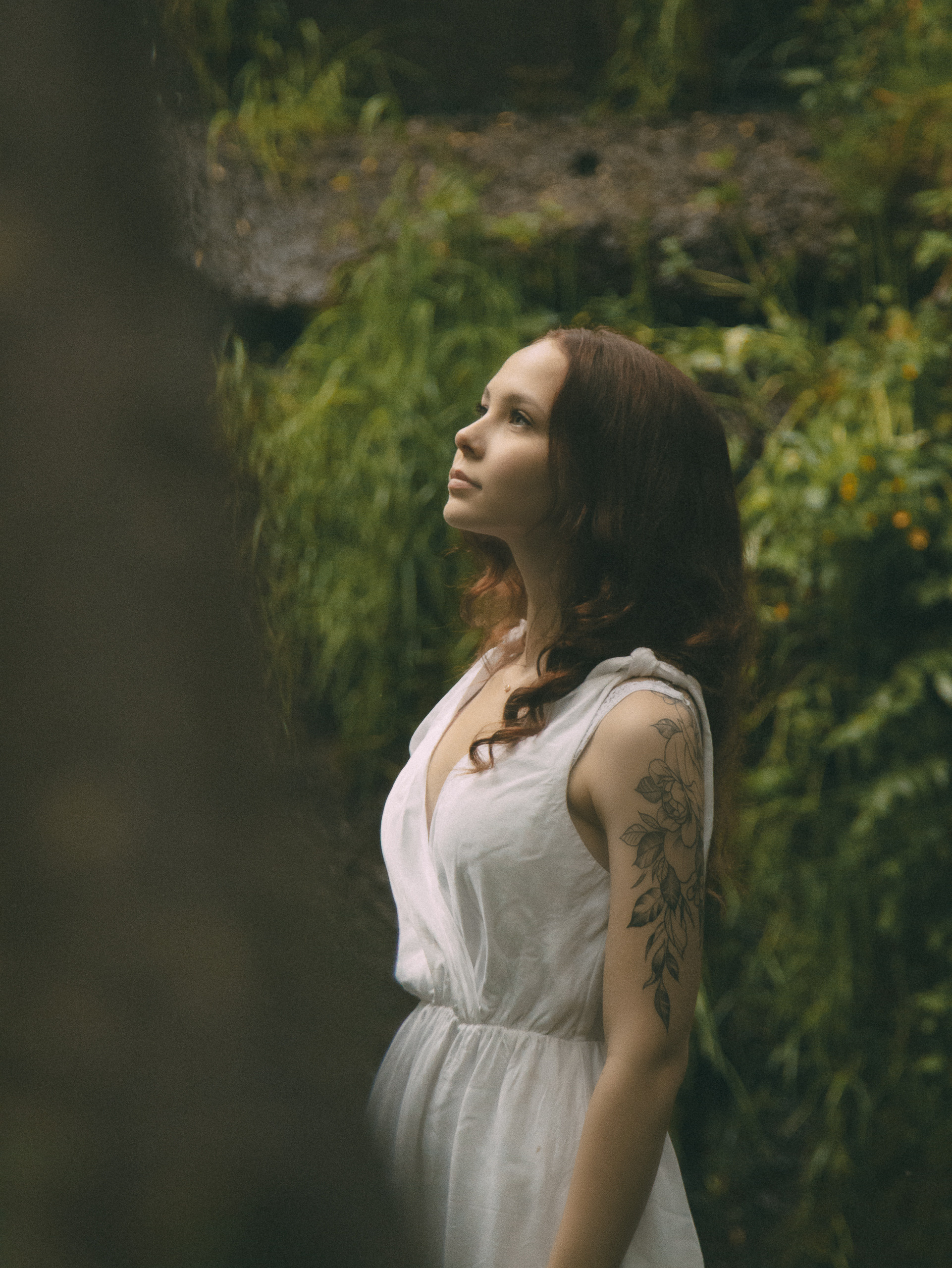 Forest. Фотограф Даниил Камчатка