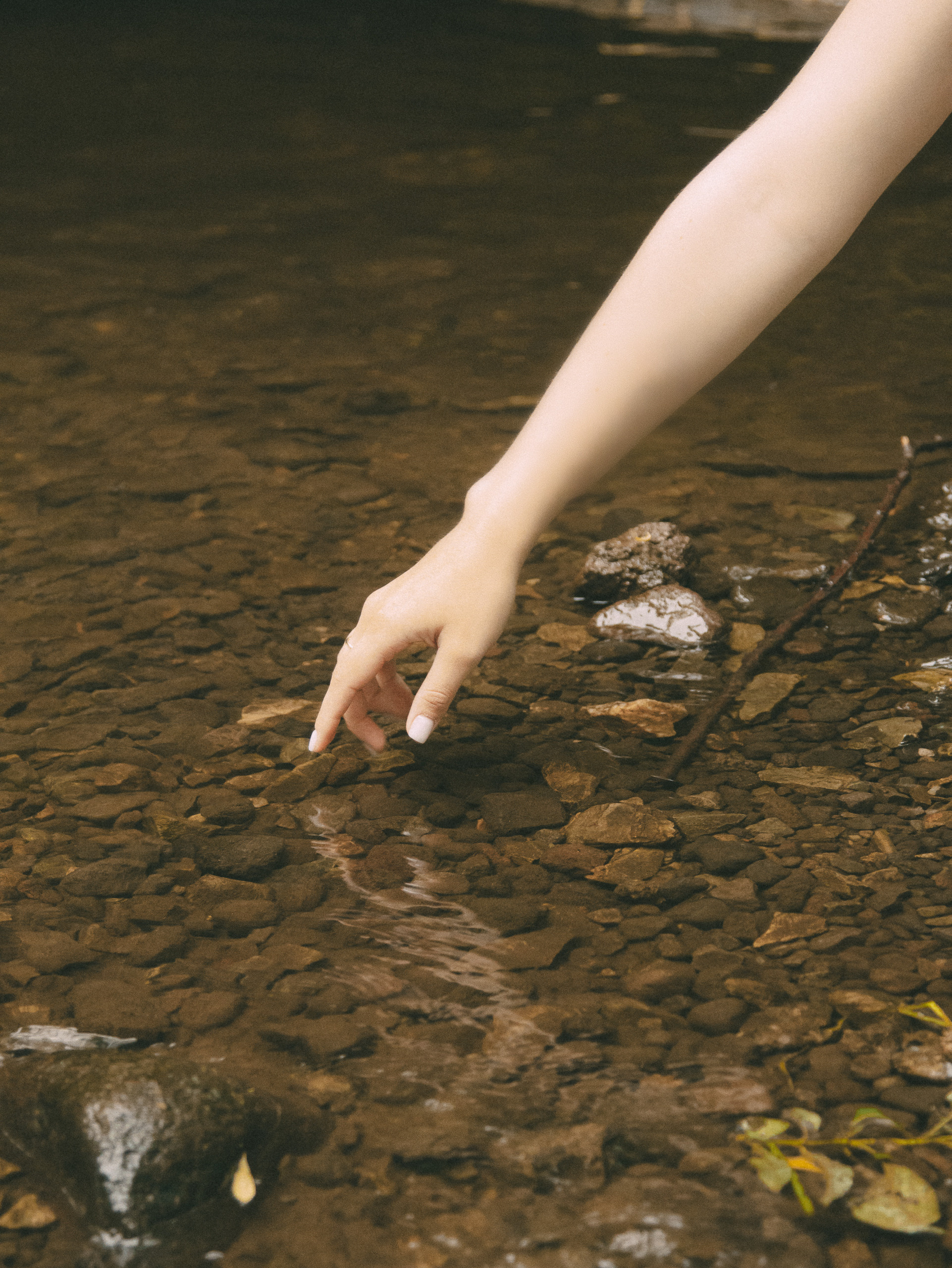 Forest. Фотограф Даниил Камчатка