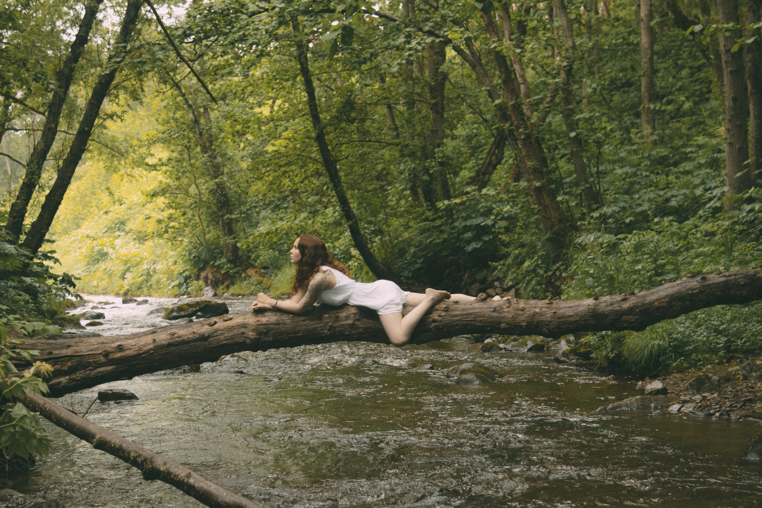 Forest. Фотограф Даниил Камчатка