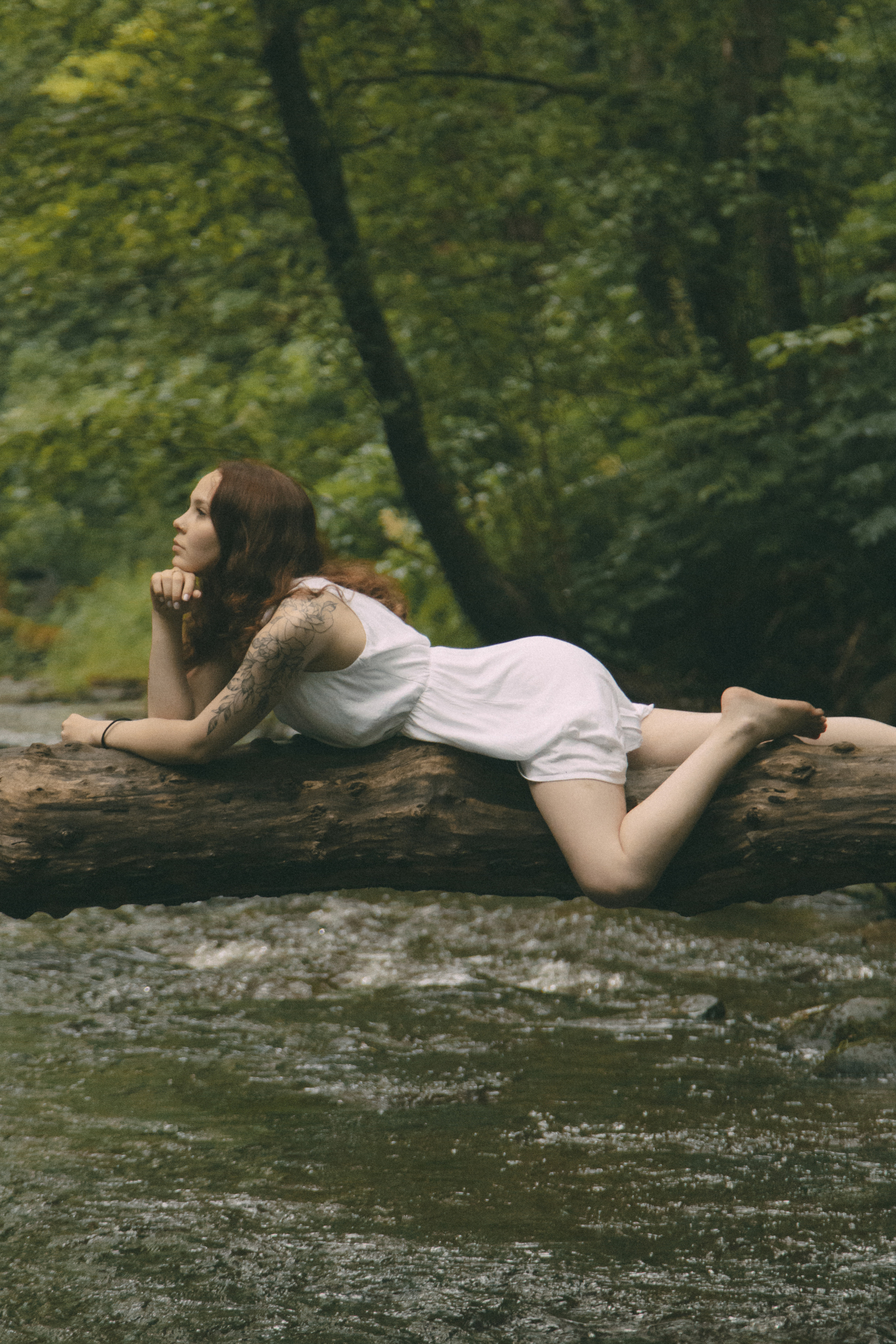 Forest. Фотограф Даниил Камчатка