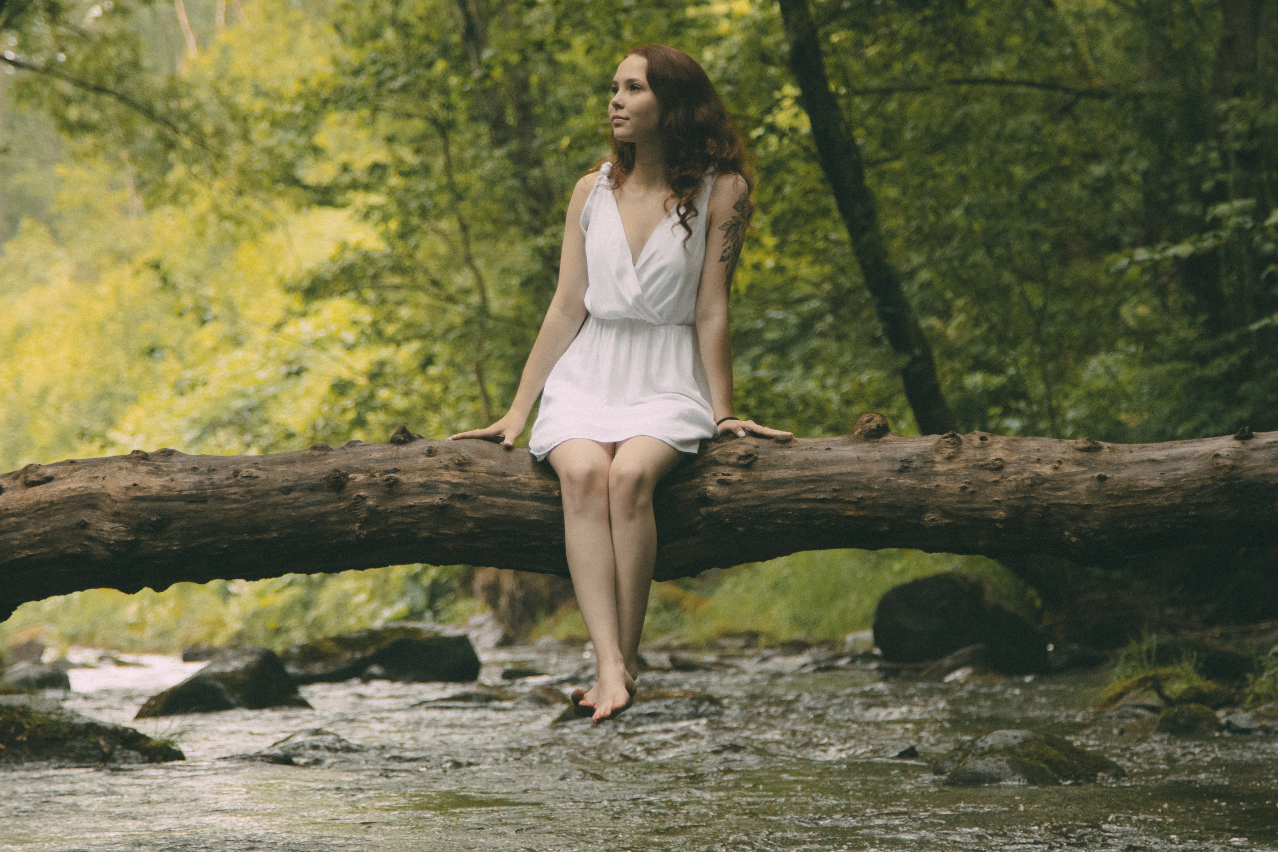 Forest. Фотограф Даниил Камчатка