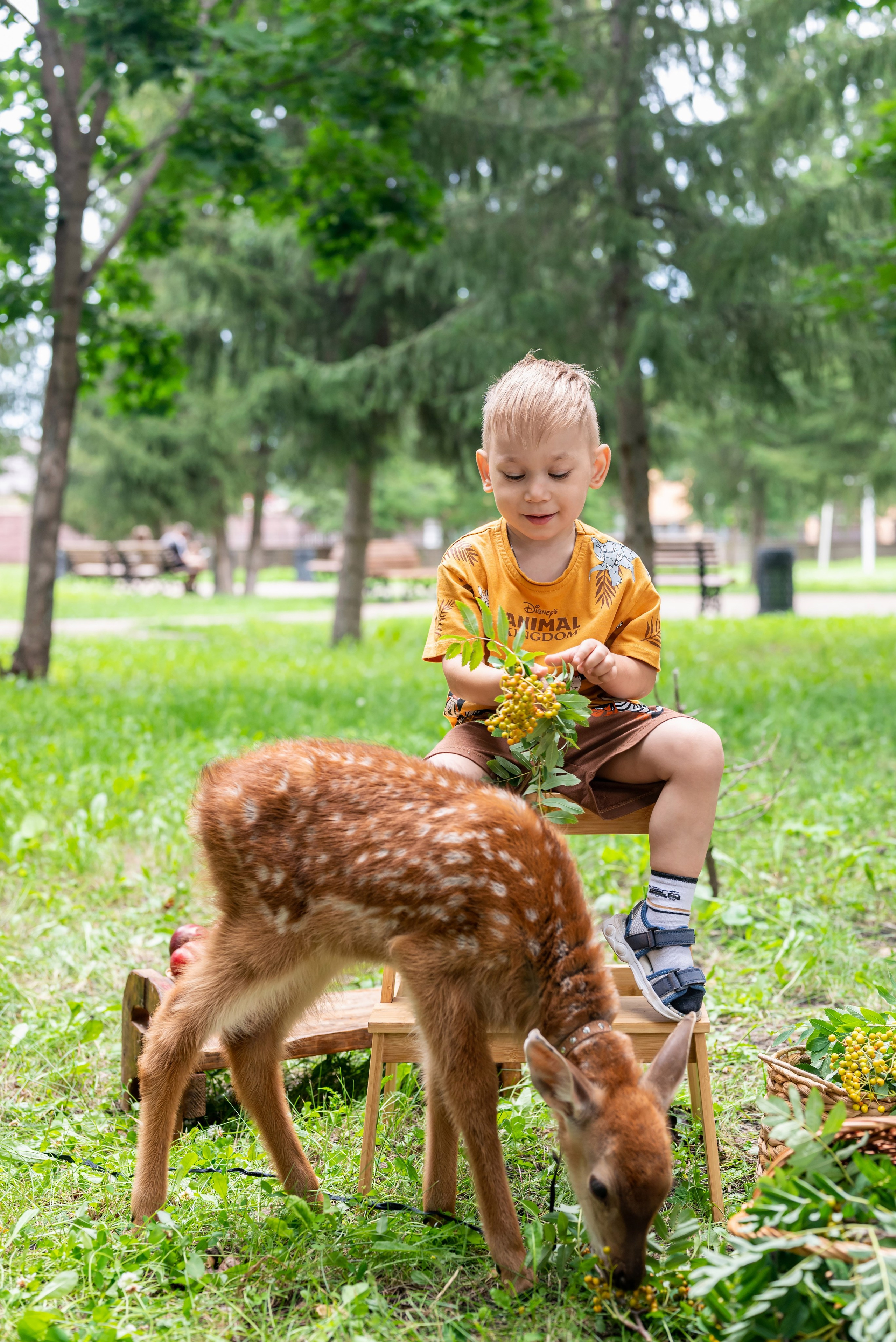 Фотопроект *Оленёнок Бэмби*. Фотограф в городе Салават