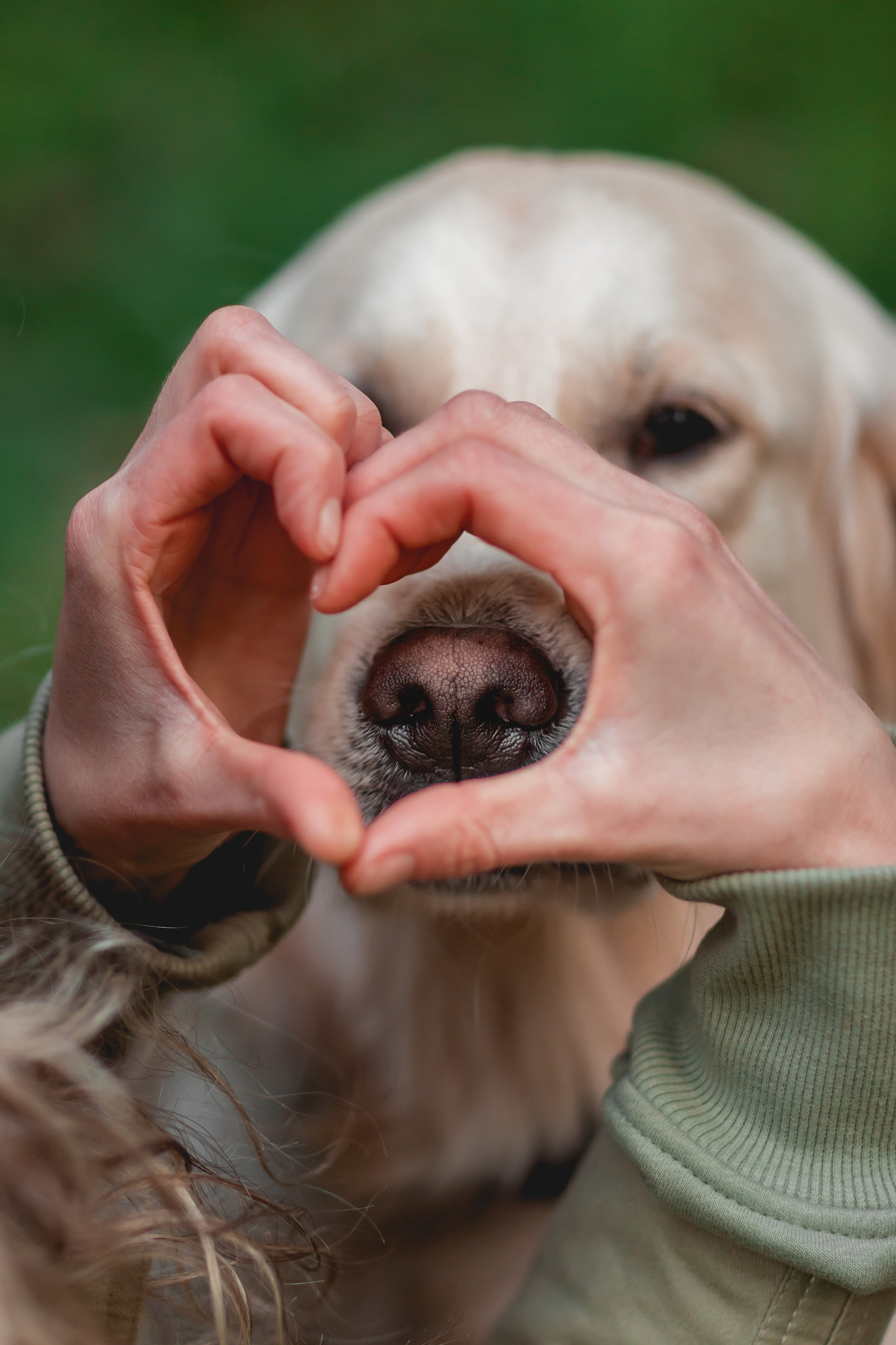 Аня и Рэй. Семейный фотограф анималист Мария Крючкова