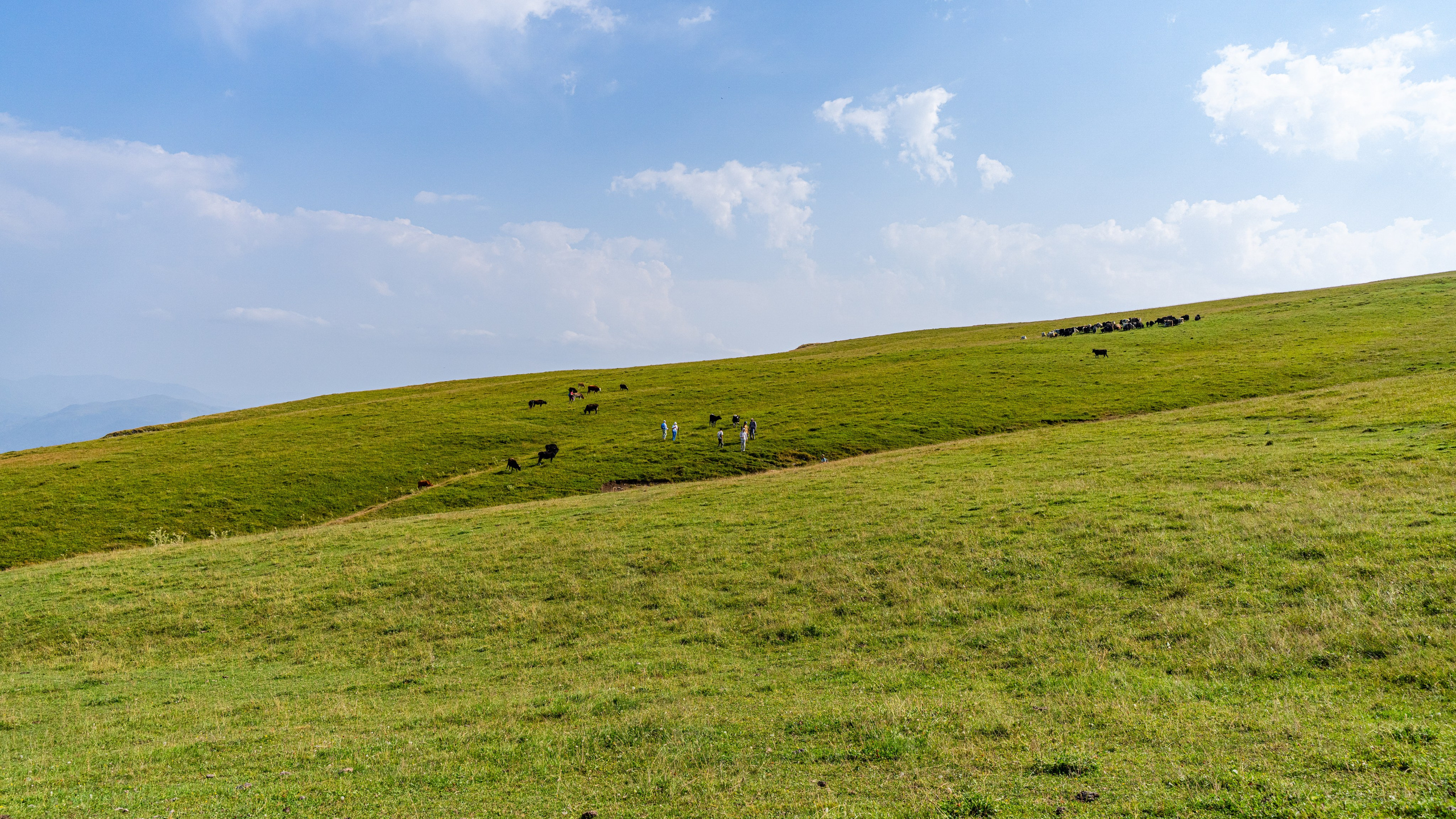 Дагестан. Фотограф в Москве. Шахабудин
