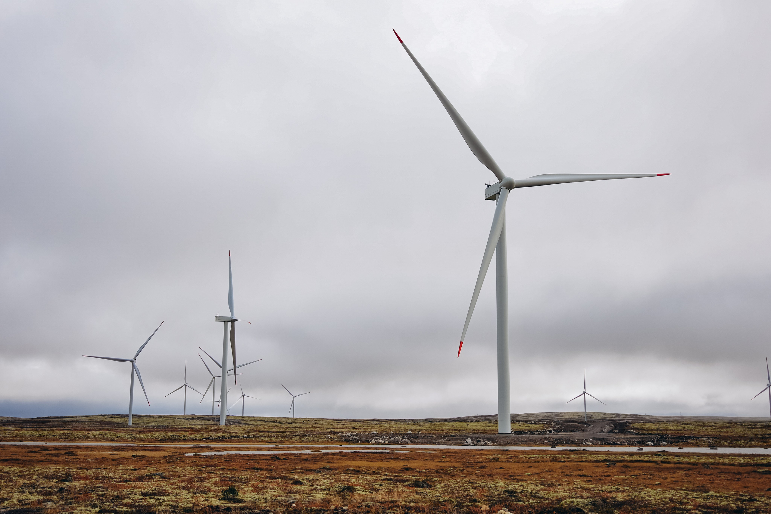 СЕВЕР. Event фотограф Степанова Александра