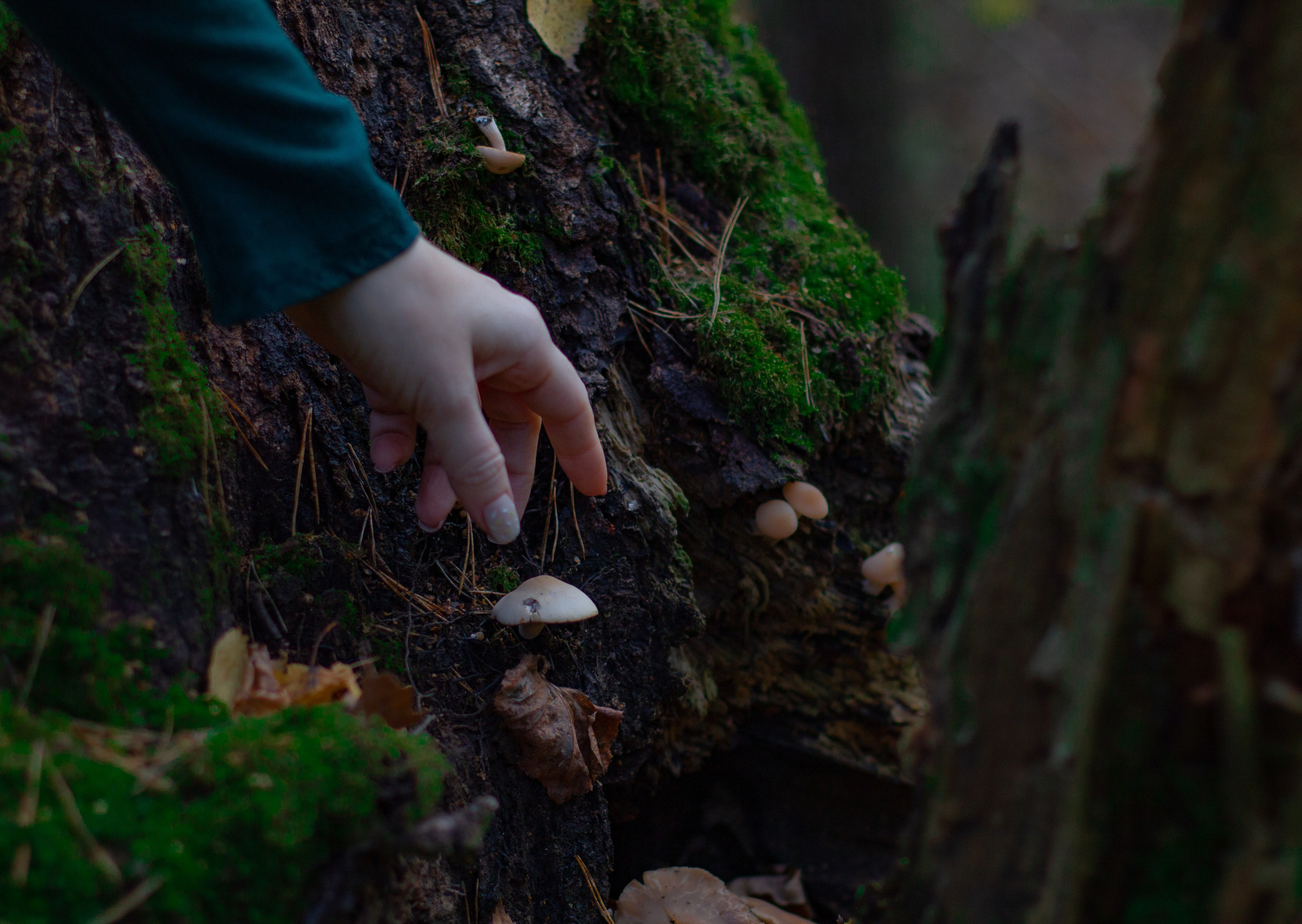 — Ведьма. Фотограф | Москва