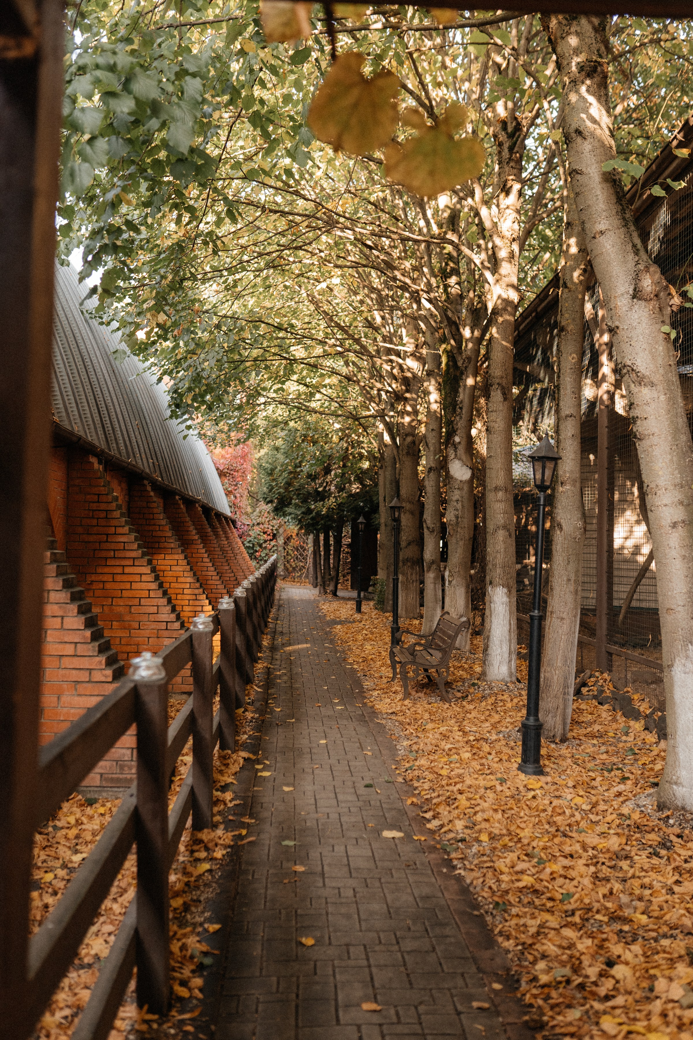 Fewhorses Артем & Светлана. Семейный и свадебный фотограф в Москве Виктория Махова