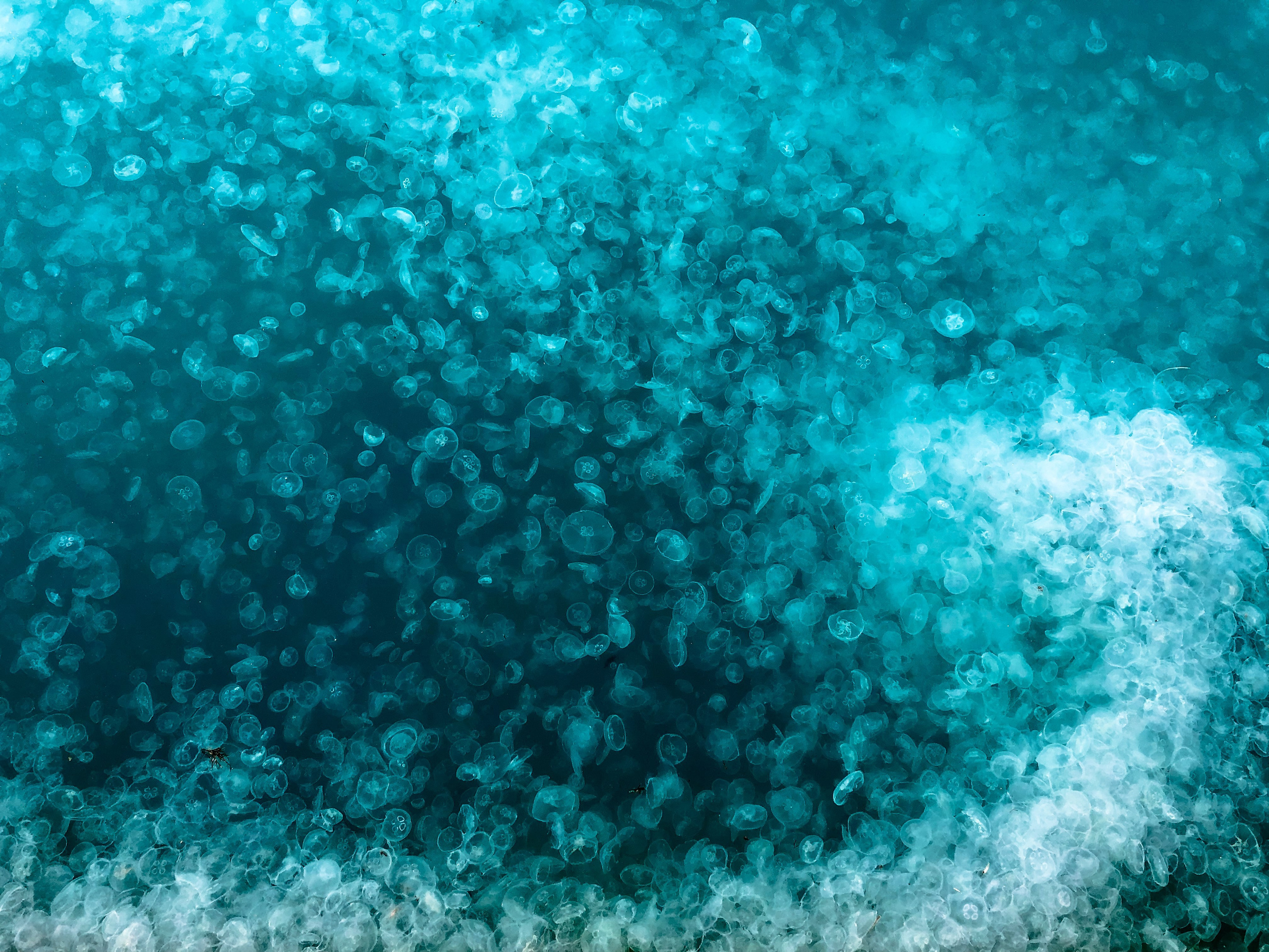 Фотографии природы России для Русского географического общества