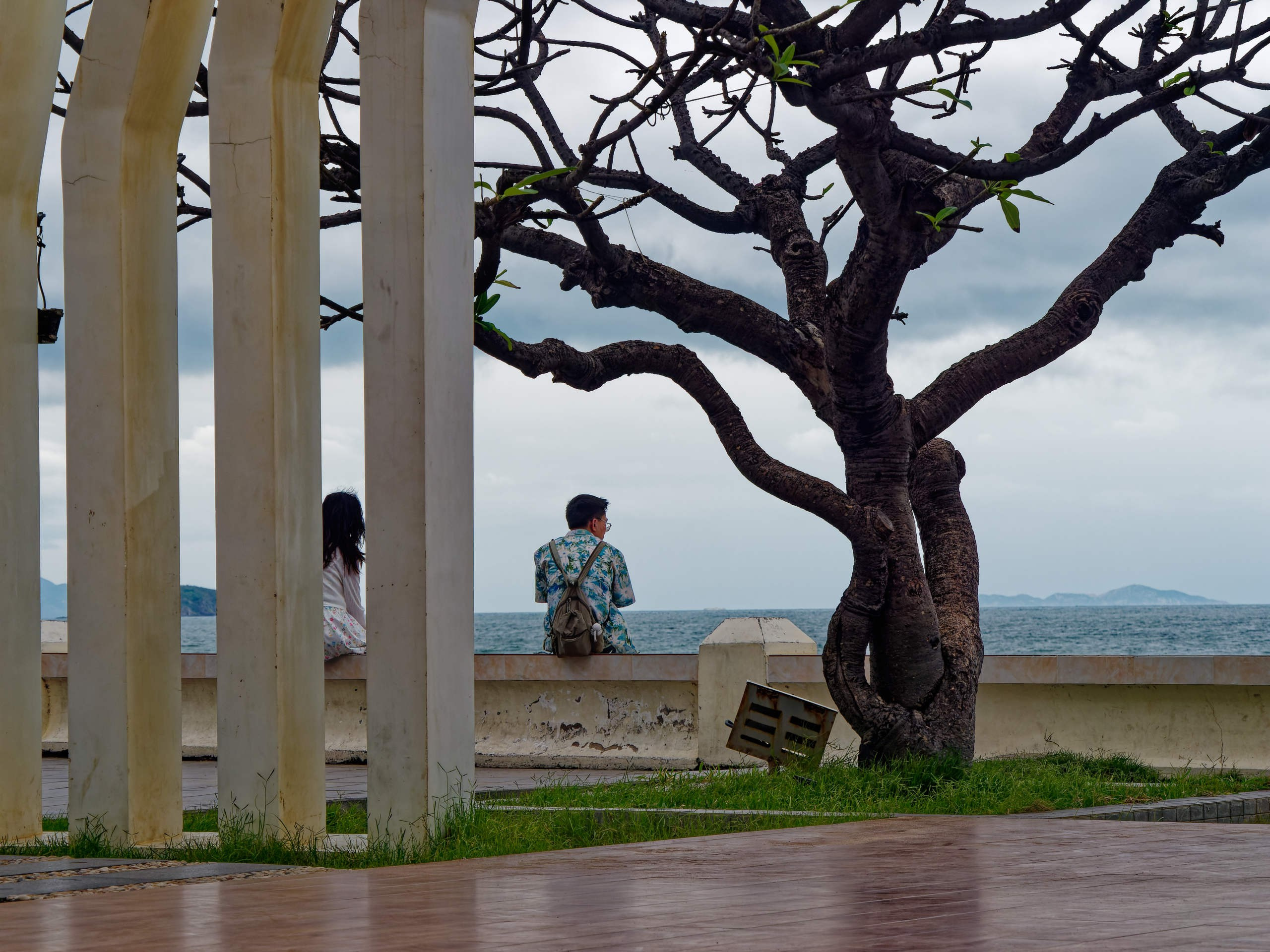 Нячанг 2025 (5). Избранные фотографии