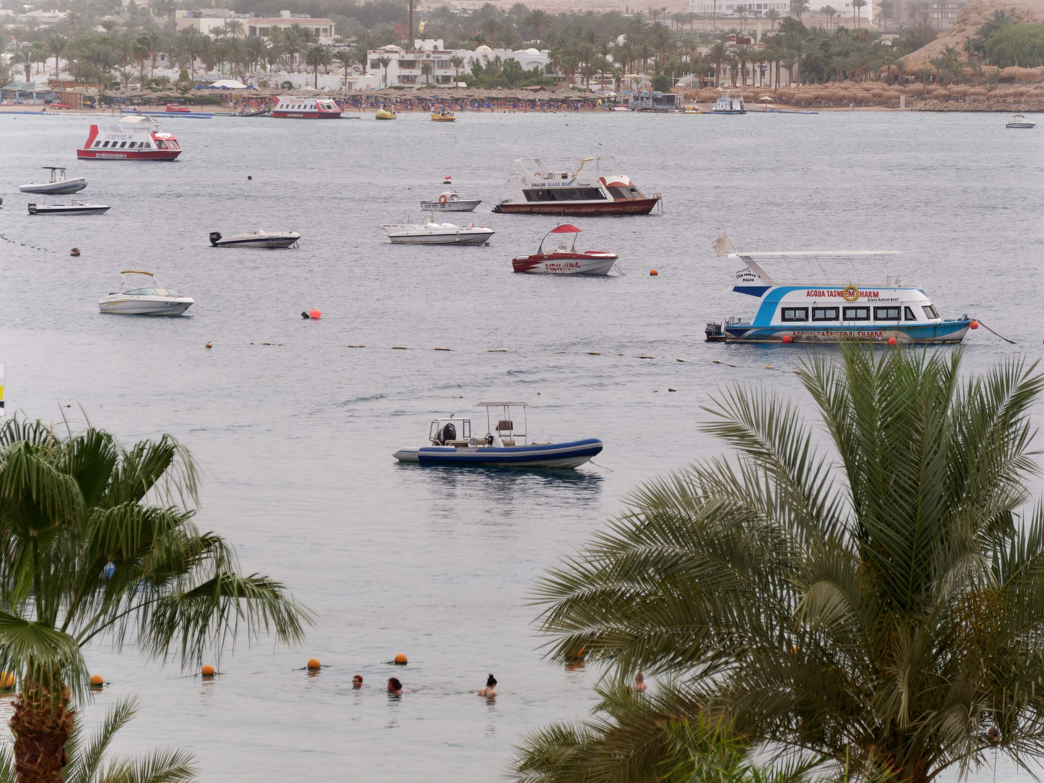 Шарм-эль-Шейх 2024. Избранные фотографии