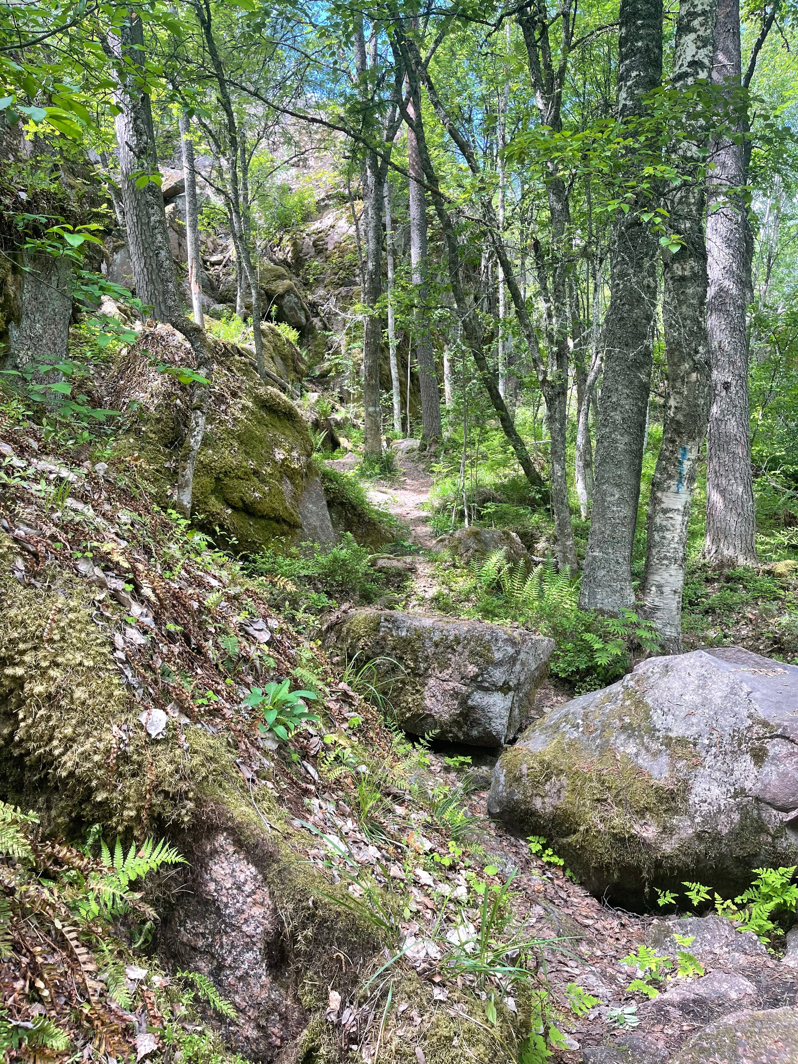 Ладога Трофи. Своя Мастерская