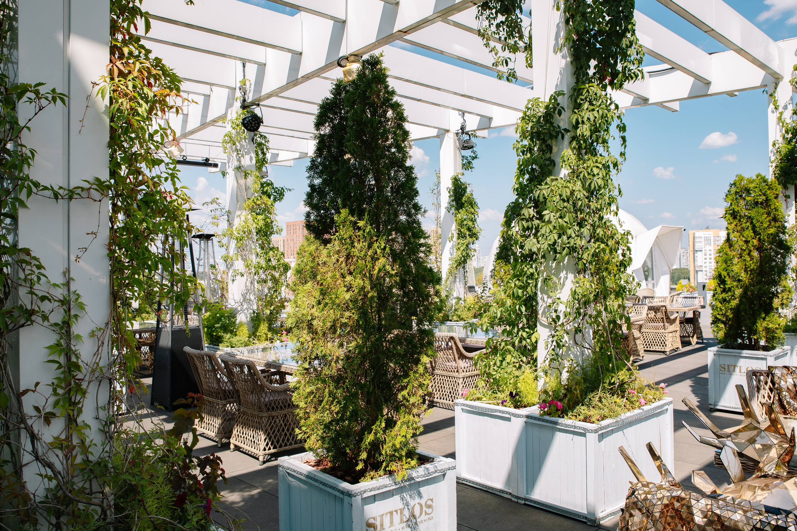 Инвестконференция Милы Колоковой. Фотограф в Москве Яна Полосина