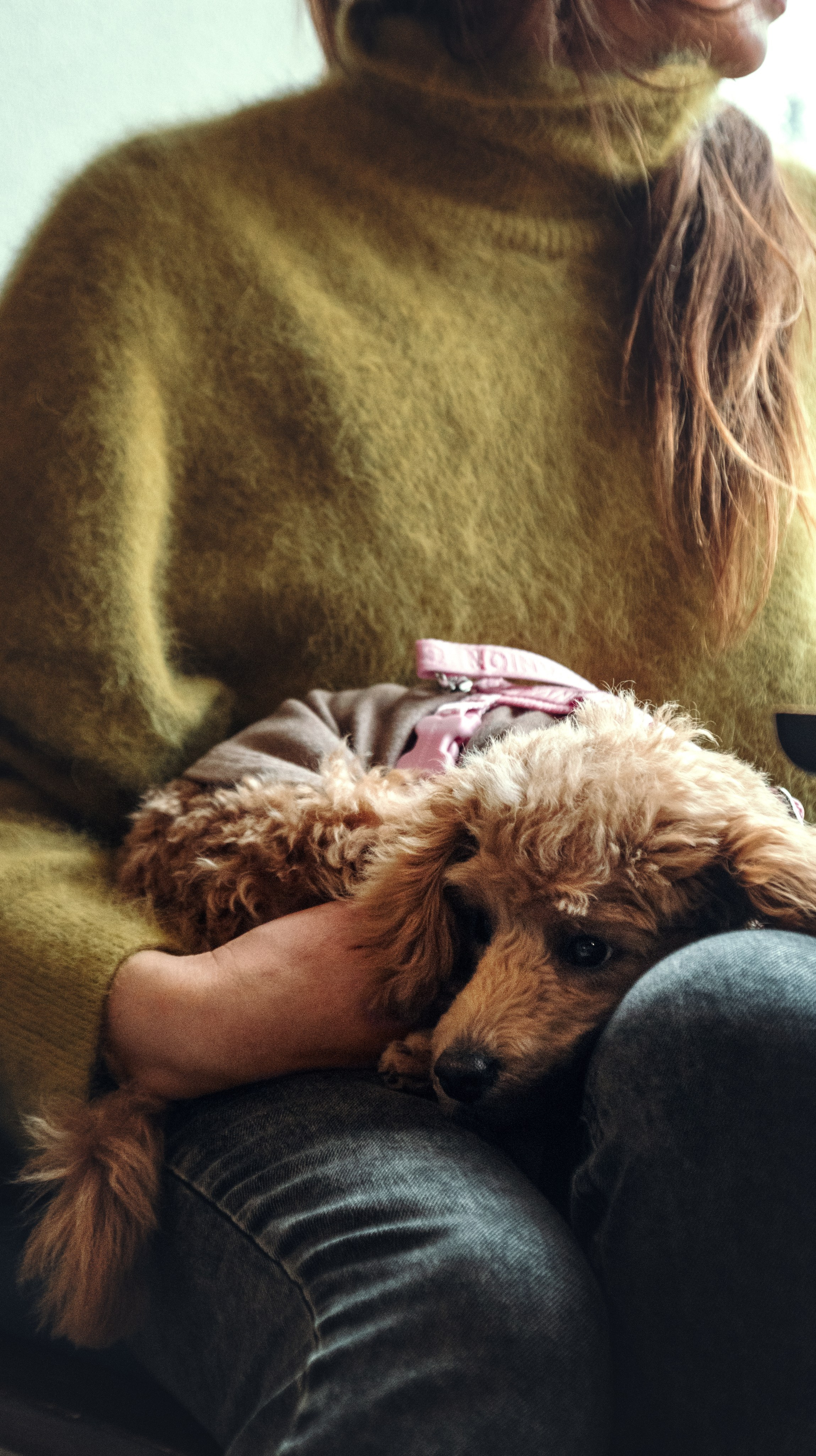 Прогулка с Анастасией и Симоной. Стас Соболь, фотограф анималист, репортажник, Москва