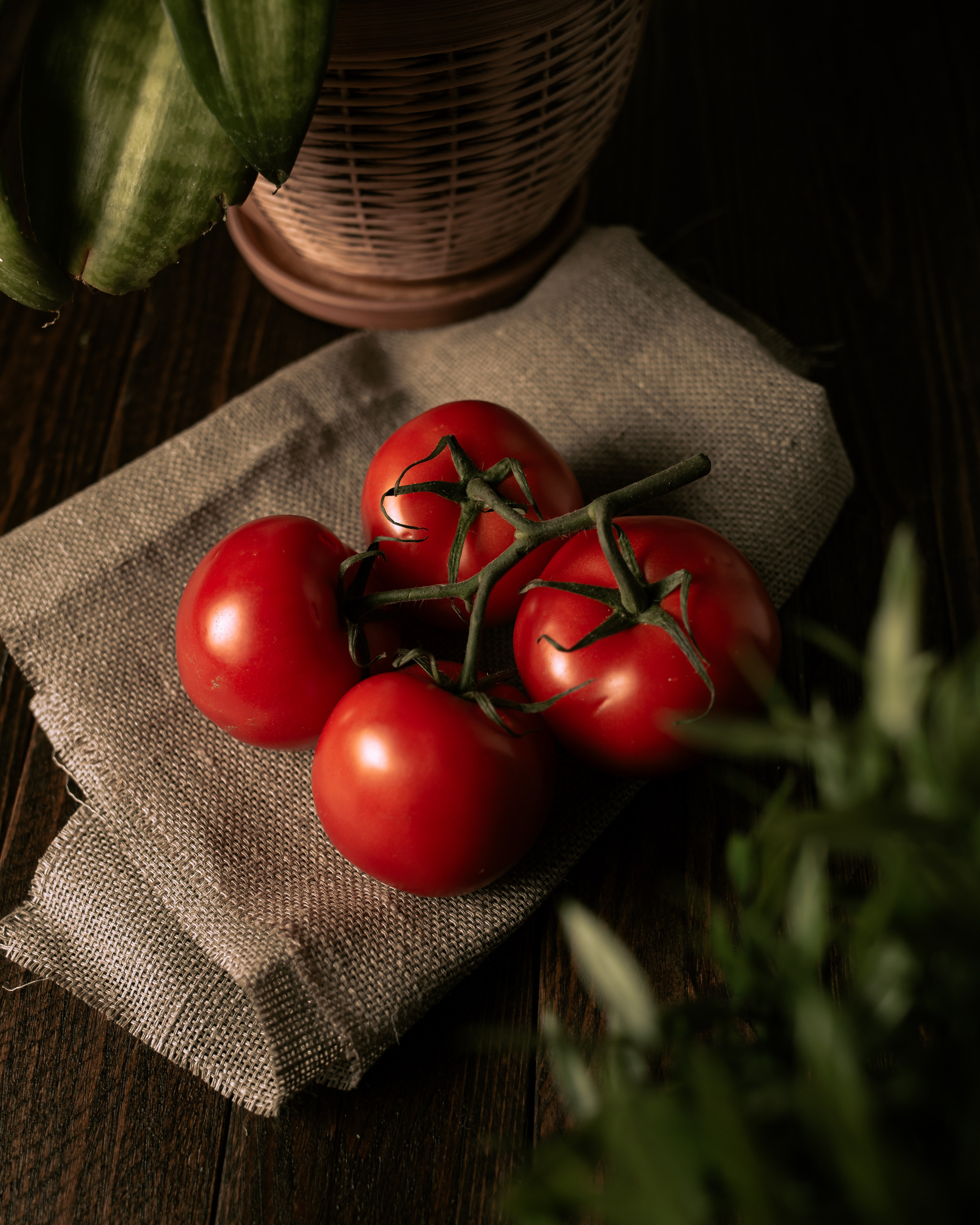 Предметкая и фуд фотография