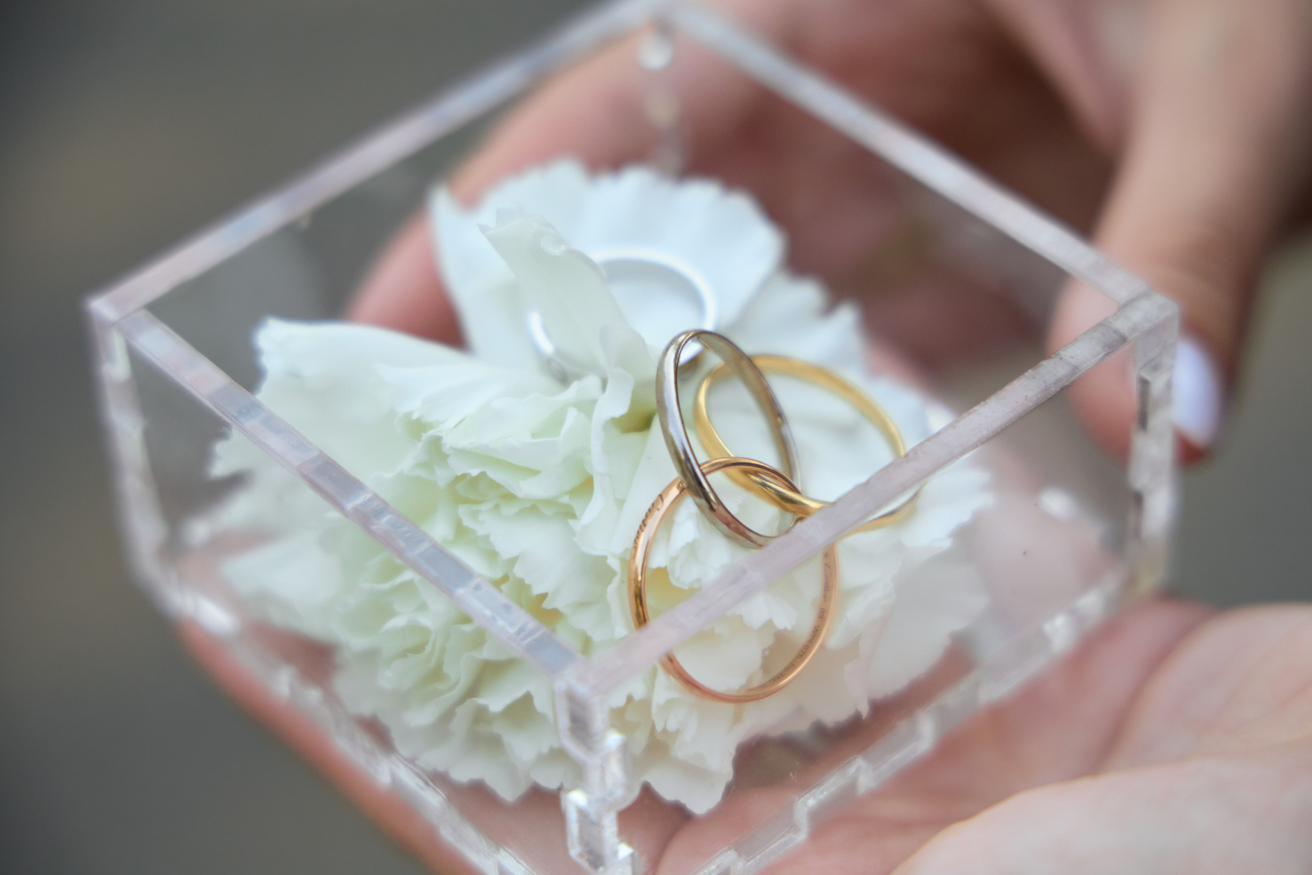 Кольца новобрачных