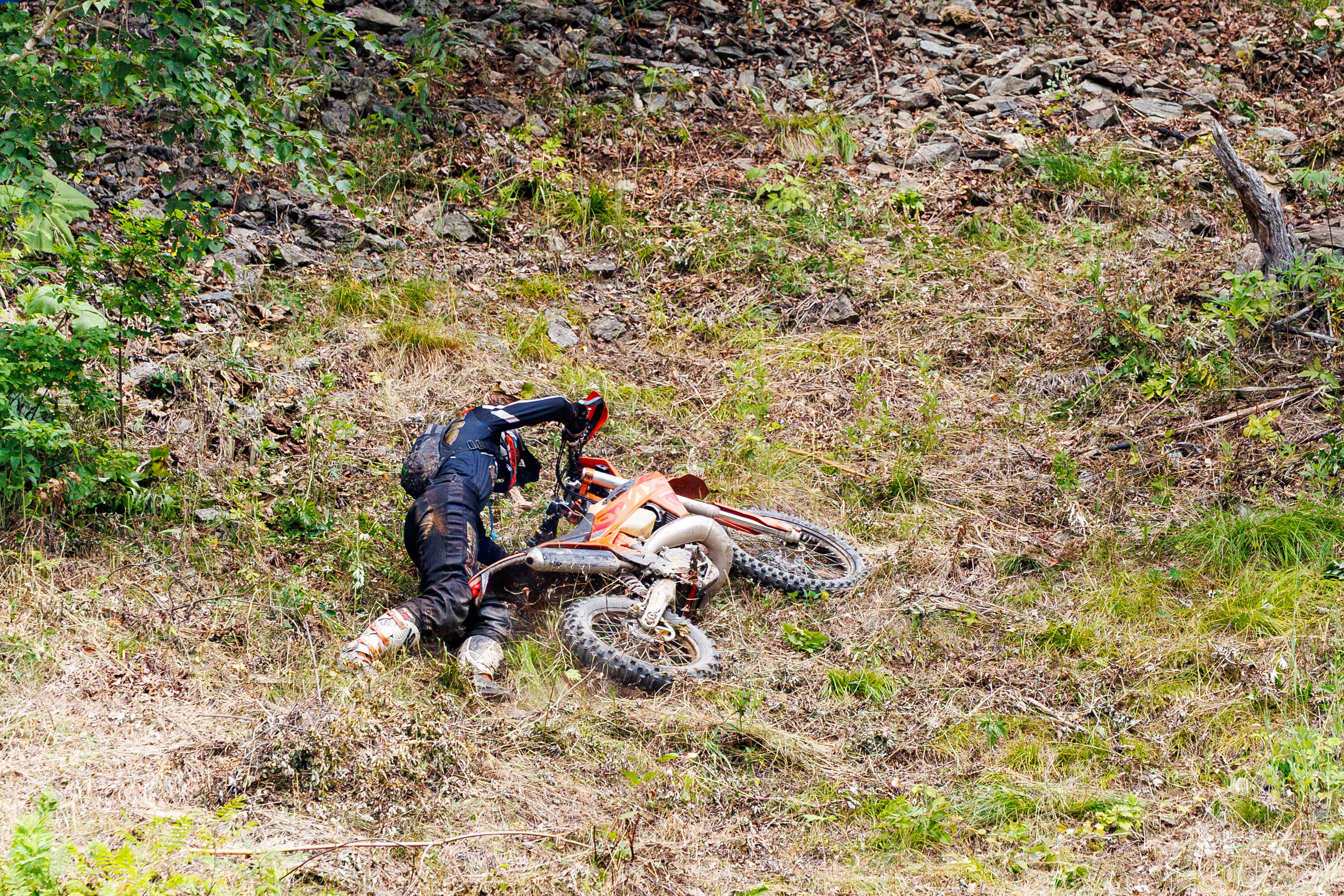 NPR-2025. Свадебный, семейный и репортажный фотограф в Южно-Сахалинске Артур Петросян