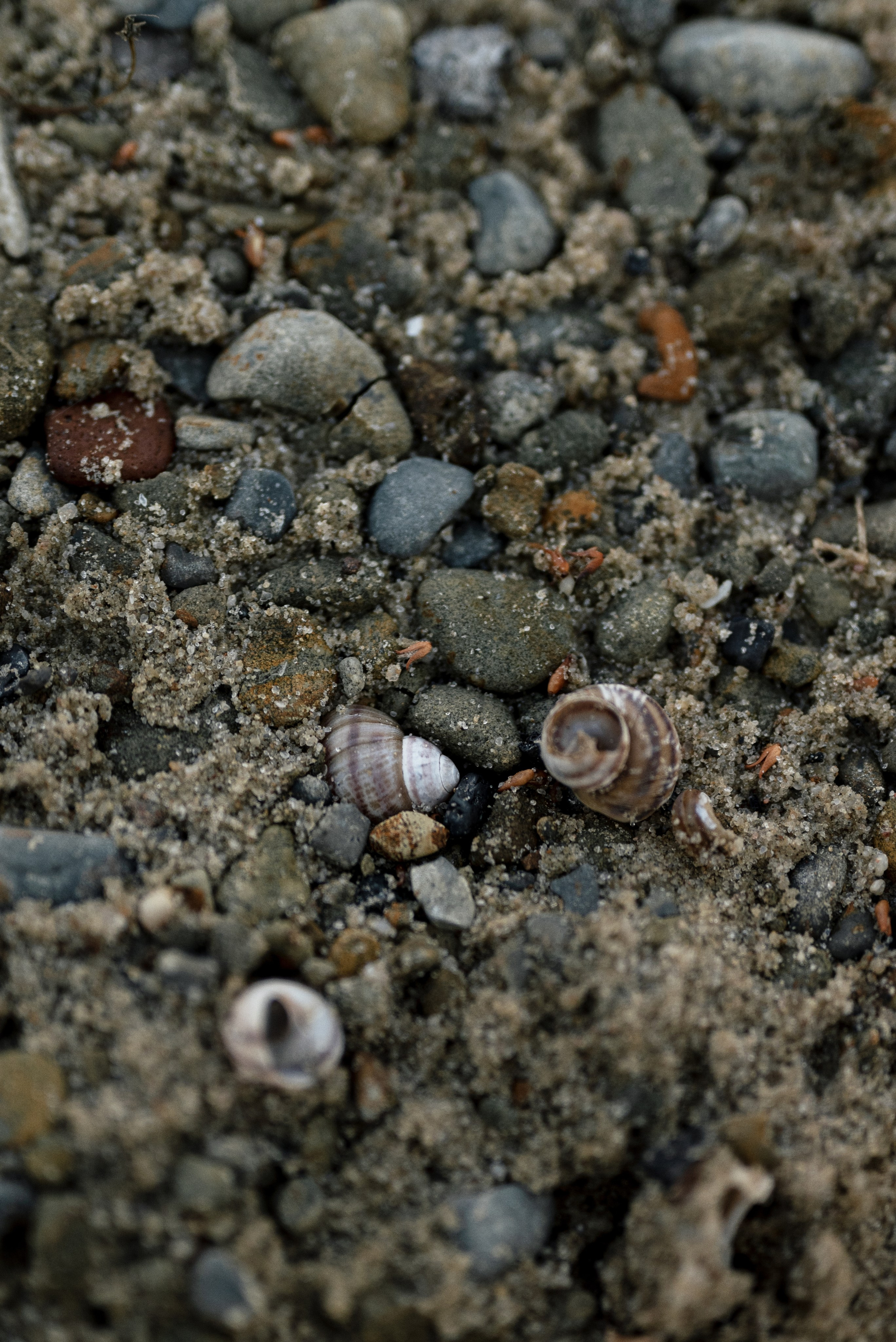 Кристина. Алёна Куртова