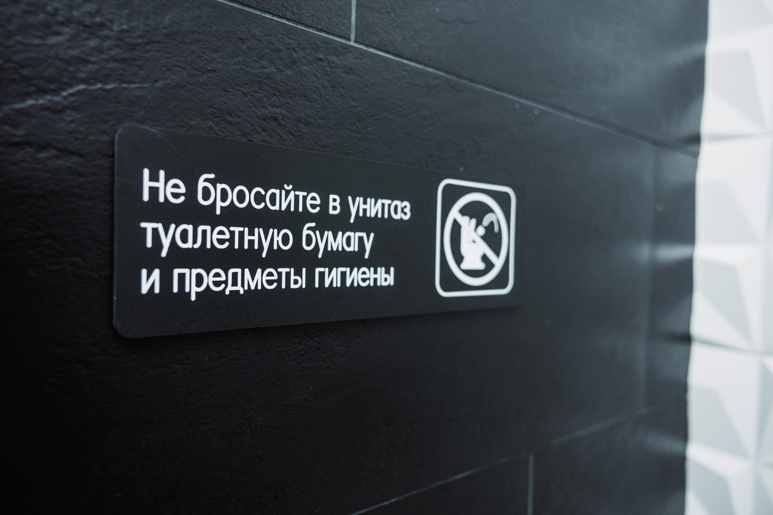 ЧЕБ И РЕК | Коломна, Зайцева 13. ФОТОГРАФ ИРИНА ШАМАТАВА