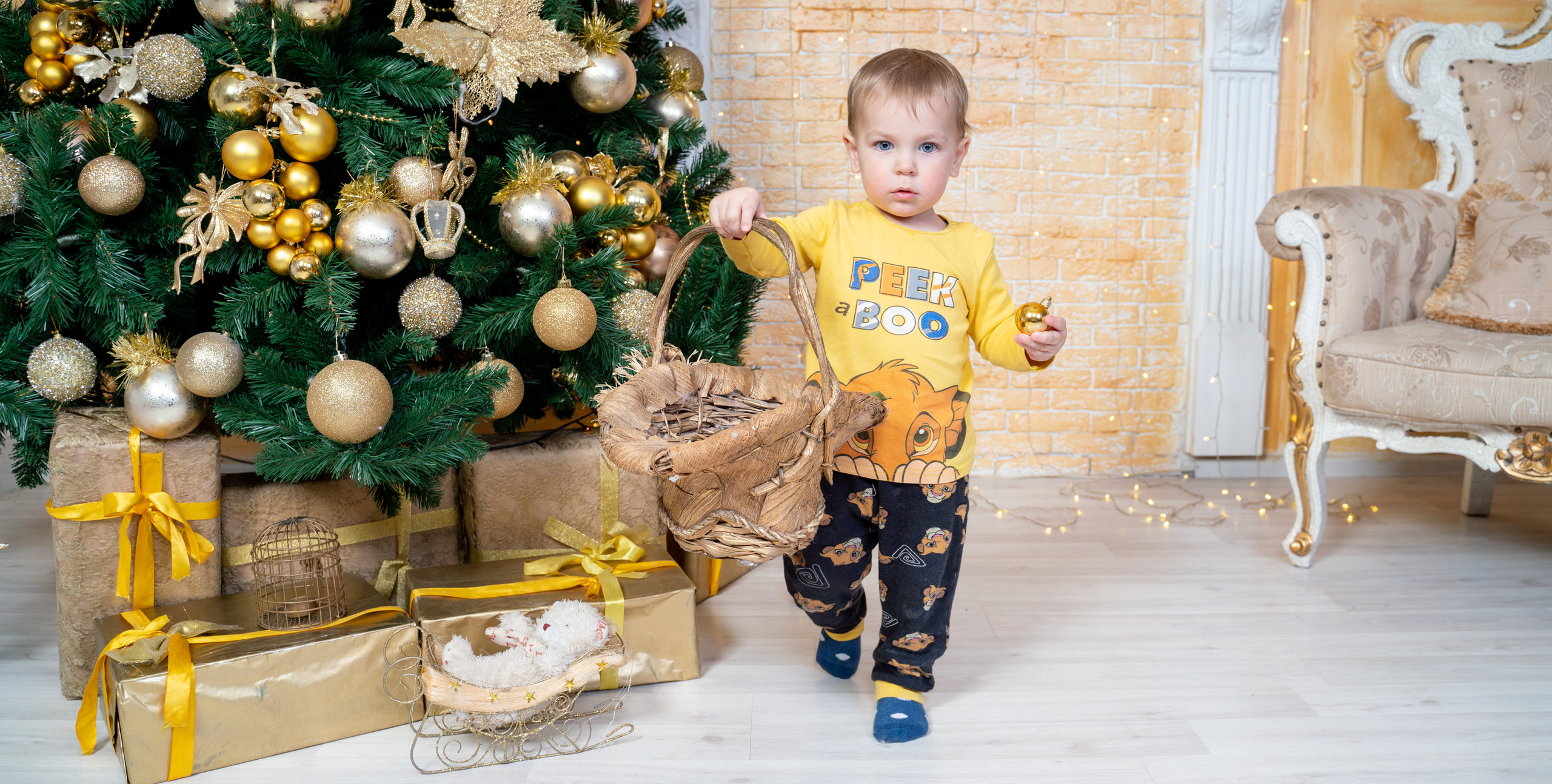 Лев. Свадебный и студийный фотограф в Москве Андрей Сопрано