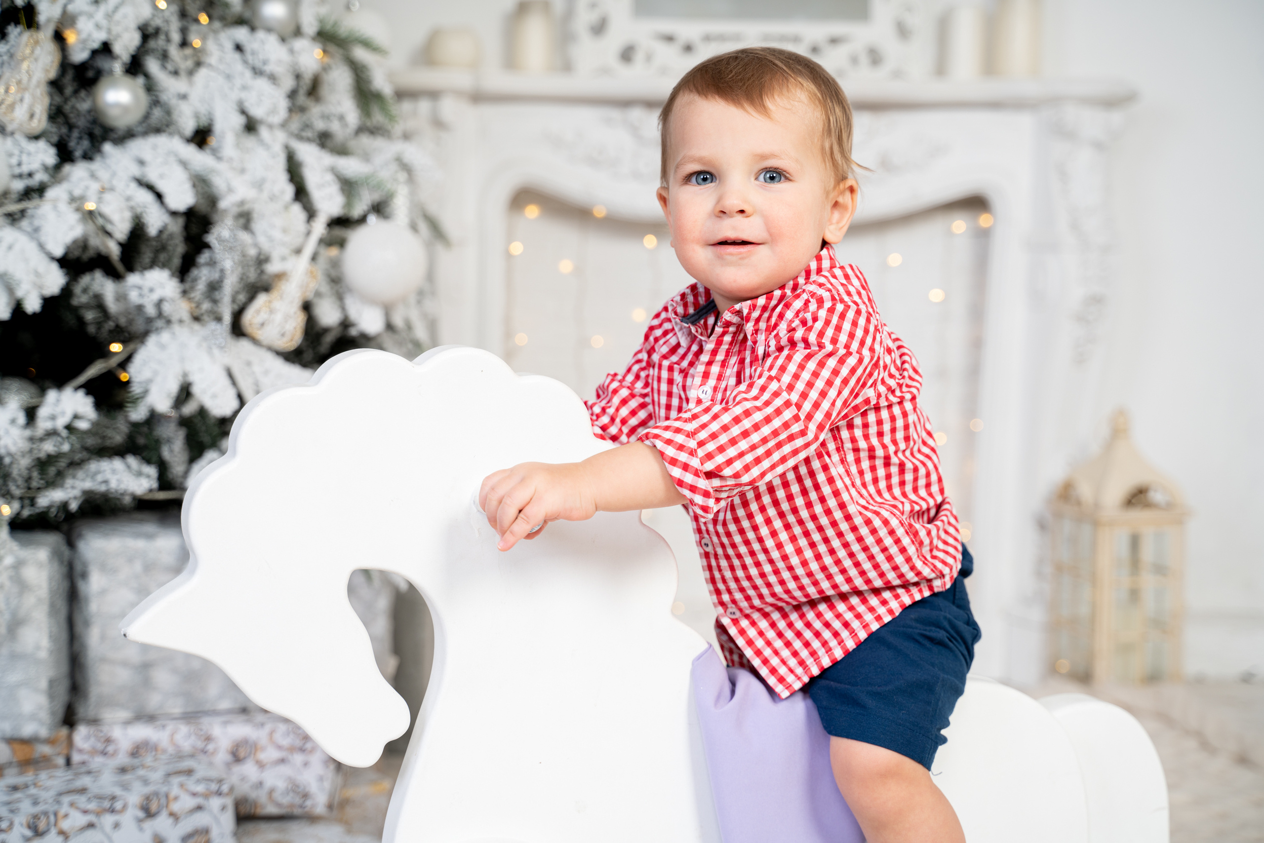 Лев. Свадебный и студийный фотограф в Москве Андрей Сопрано