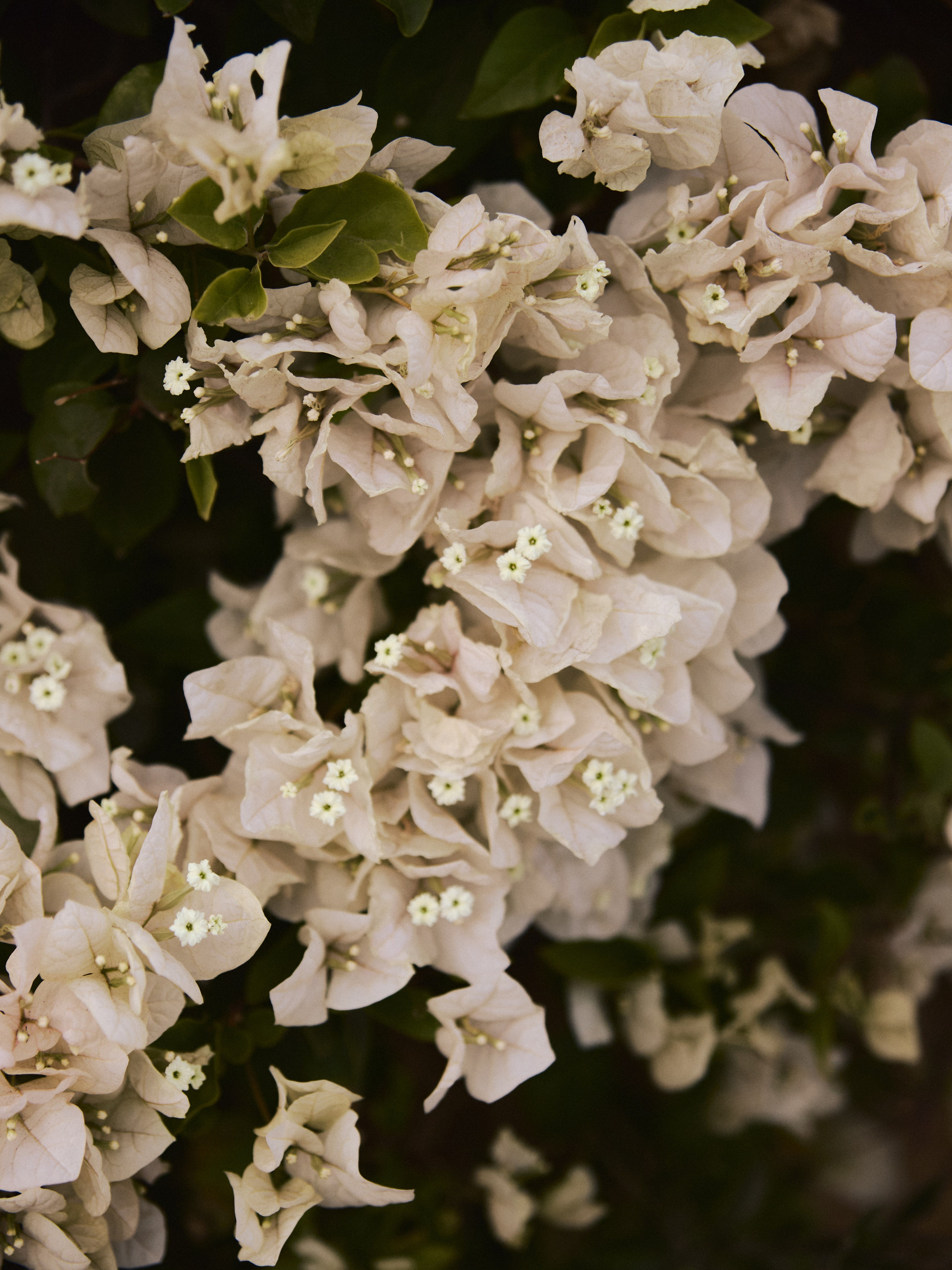 Природа. Jorgis Talè — photographer, kind person, teacher of arts and other mag