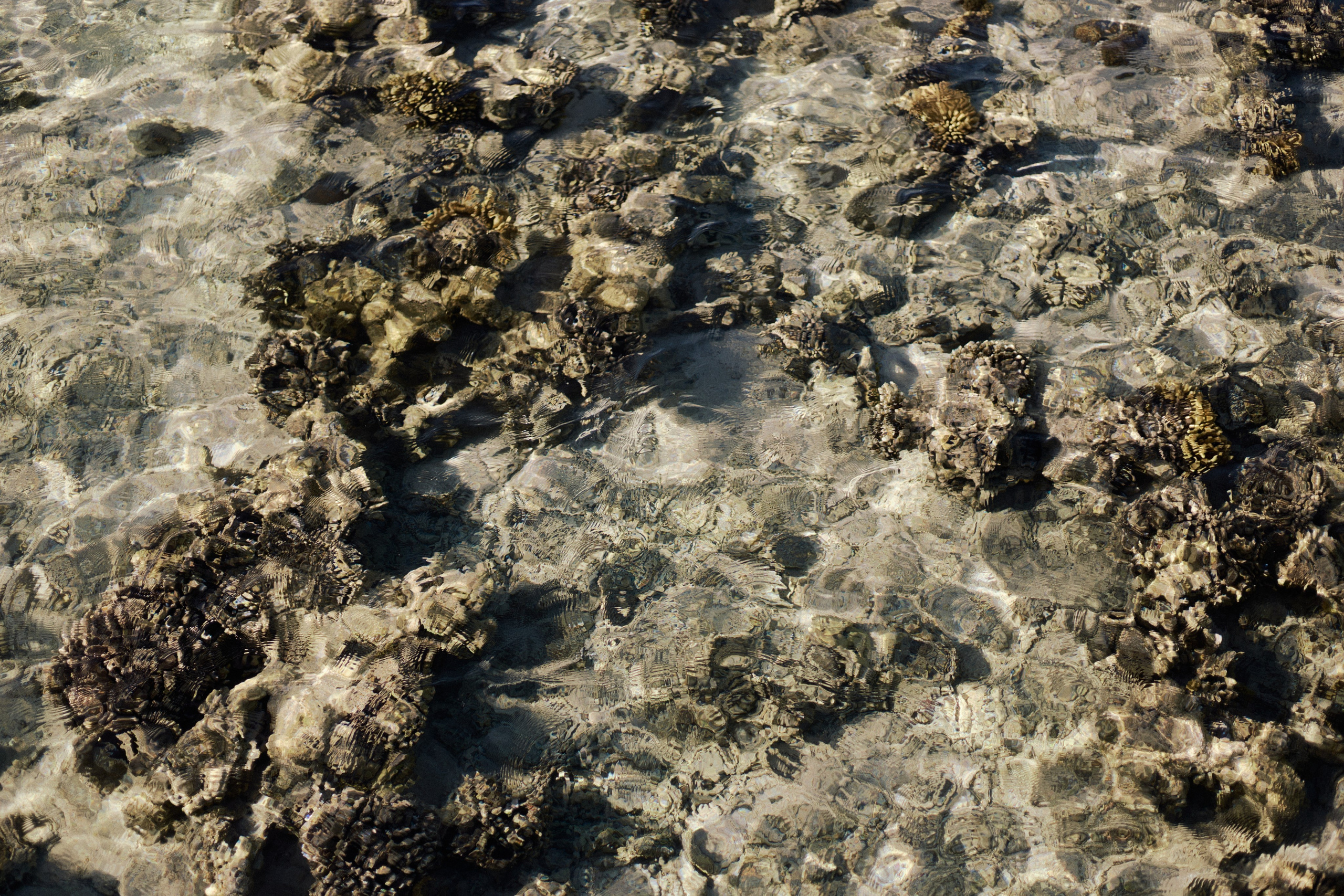 Улица горизонтальная. Jorgis — фотограф в Хургаде / обучение фотографии