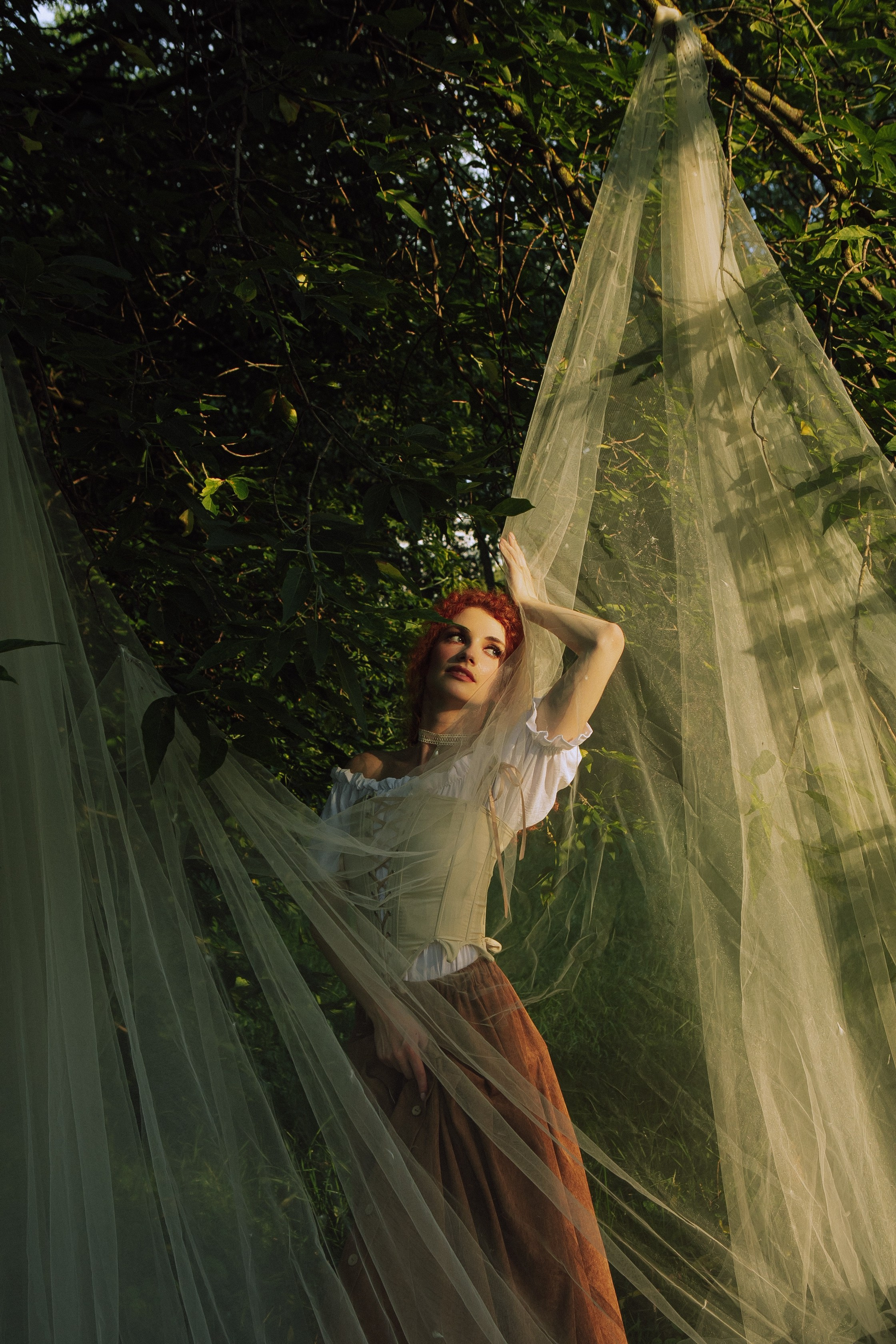 Пикник. Allirubrum