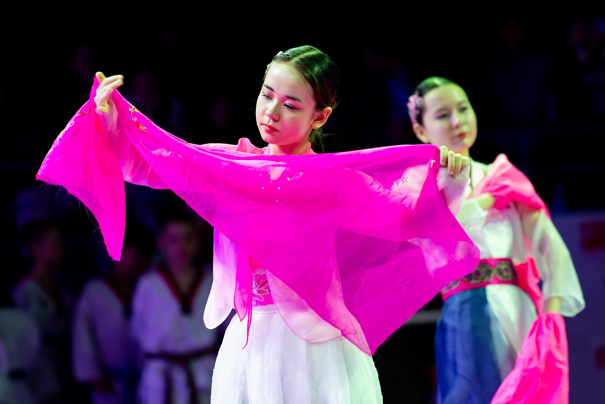 Дальневосточный фестиваль восточных единоборств. Кутузов Евгений Фотограф в Южно-Сахалинске