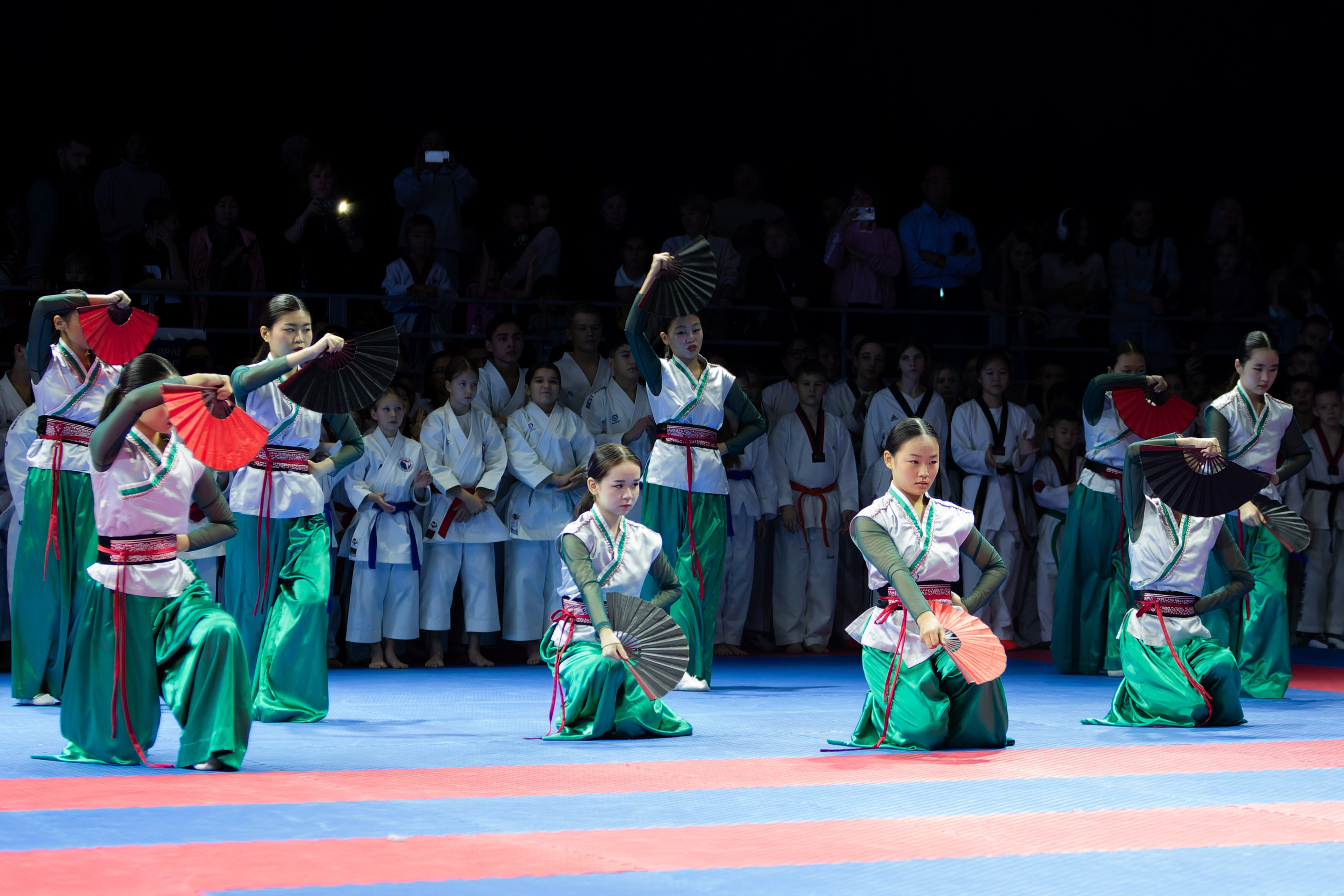 Дальневосточный фестиваль восточных единоборств. Кутузов Евгений Фотограф в Южно-Сахалинске