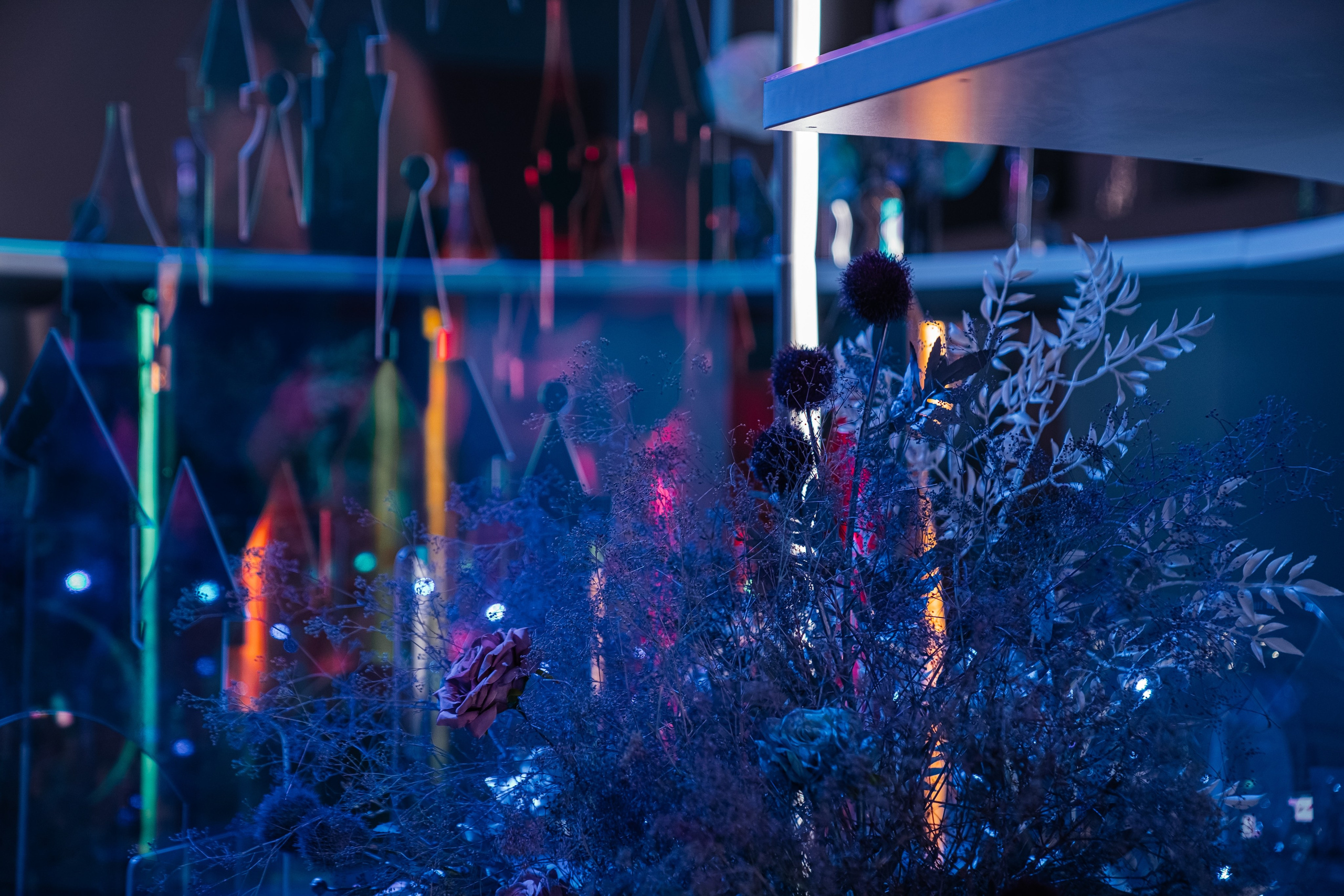 АНАСТАСИЯ ИЛЛЮЗИЯ РЕАЛЬНОСТИ BIG TEAM. Свадебный и семейный фотограф В Барнауле Нечаева Таня