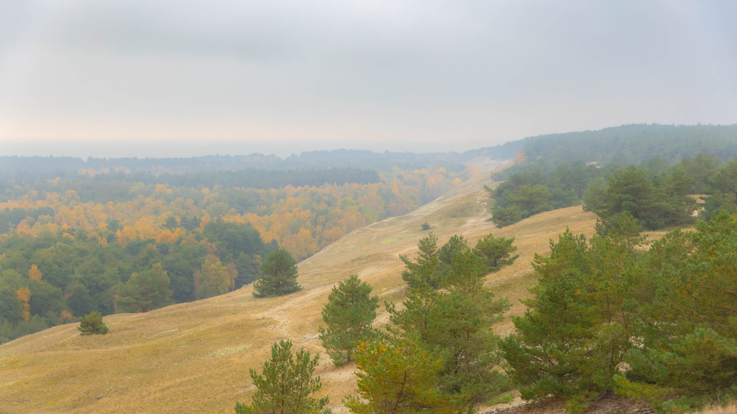 2024 10 Зеленоградск, Светлогорск, Куршская коса. Фотографии