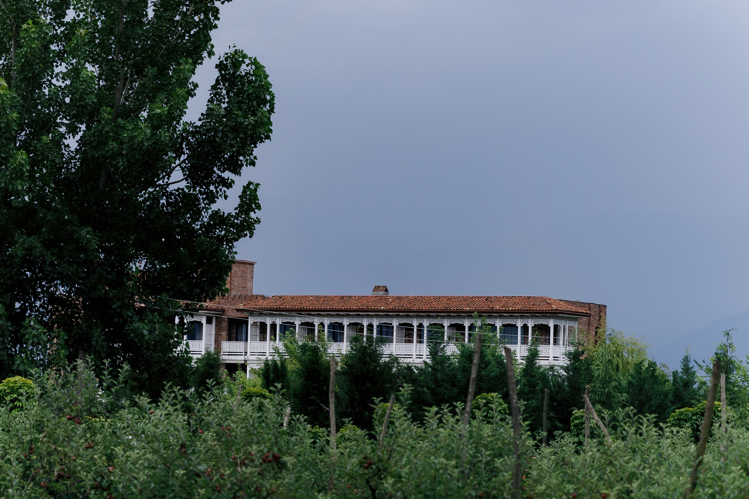 Igor & Anastasiya. Anastasiya Krasnyuk