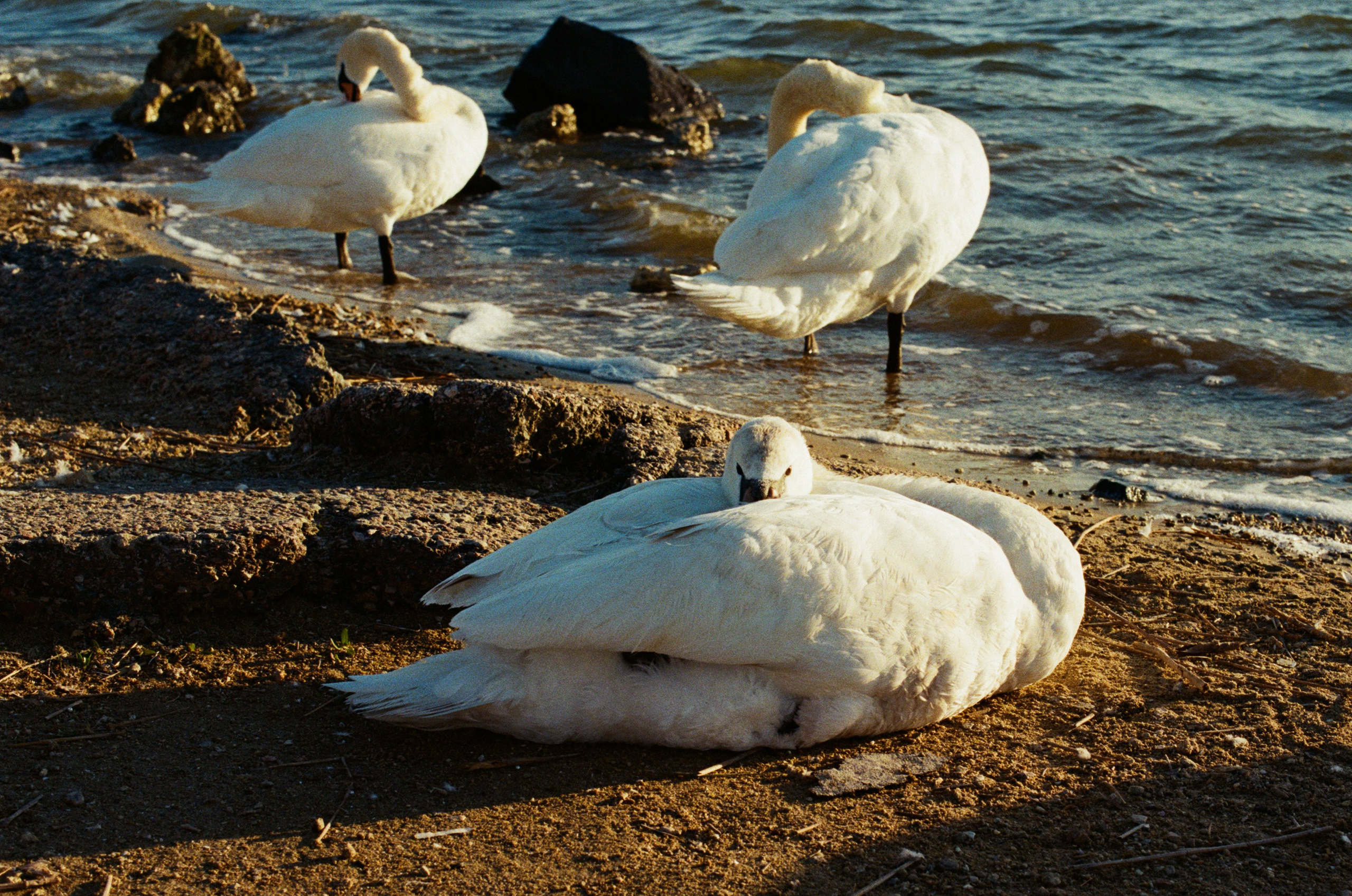 Some kind of madness // ukraine, crimea V. EVER EXPOSED