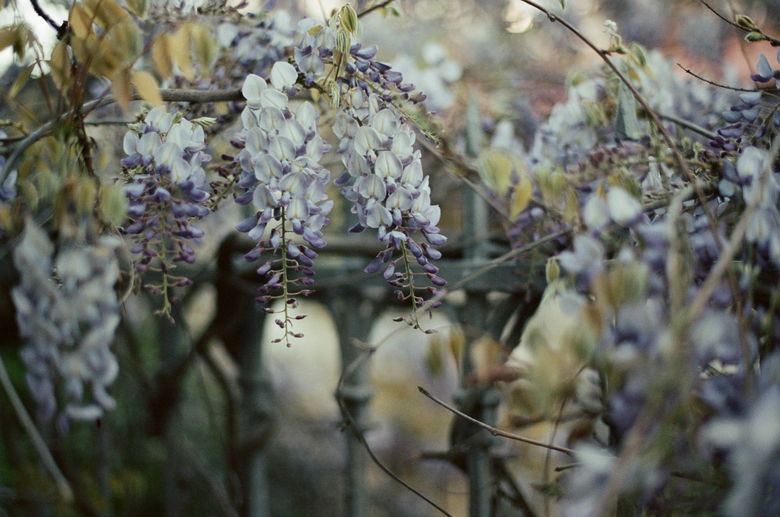 Silent running // ukraine, crimea II. EVER EXPOSED
